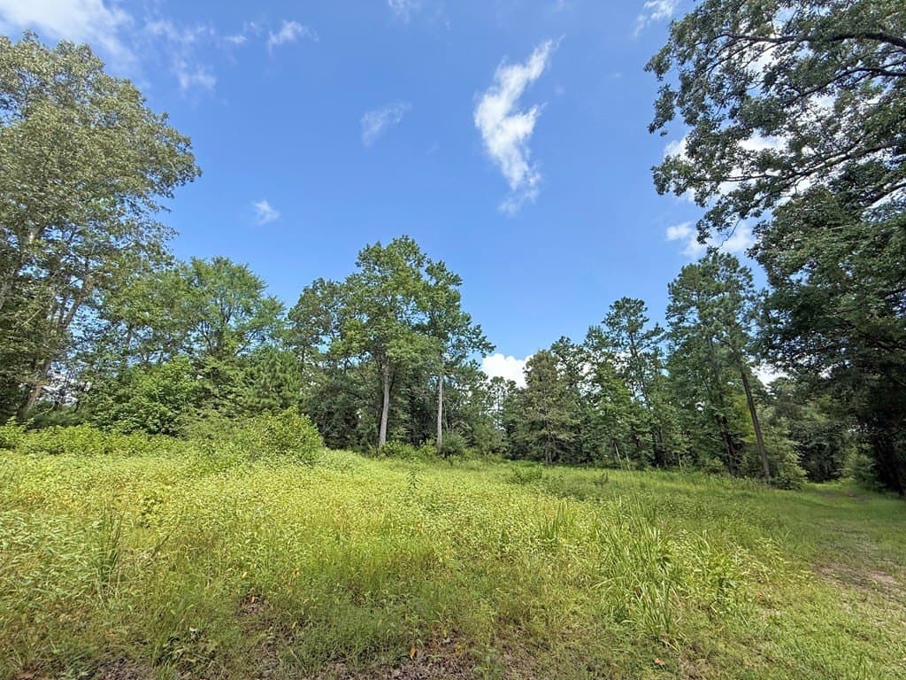 24.5 acres in Texas County - photo 13