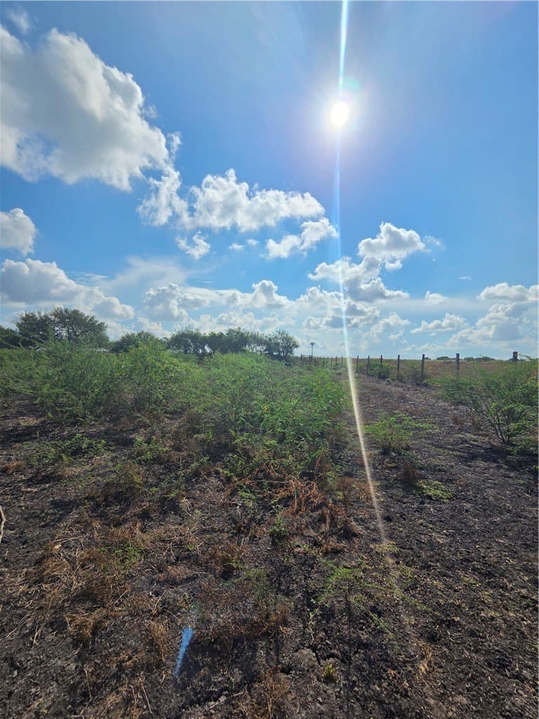 2.69 acres in San Patricio County - photo 12