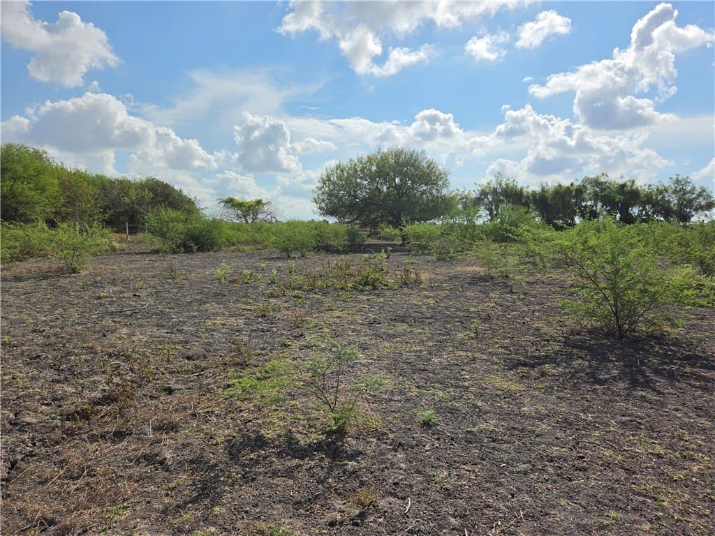 2.69 acres in San Patricio County - photo 14