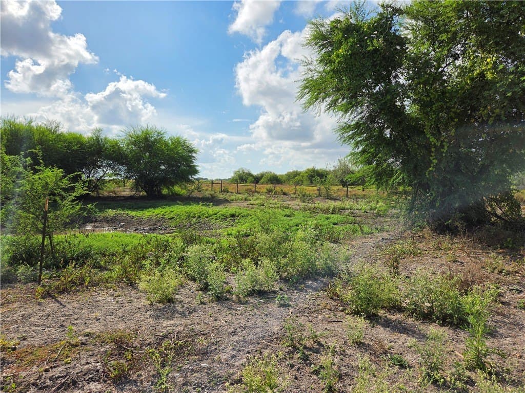 2.69 acres in San Patricio County - photo 21
