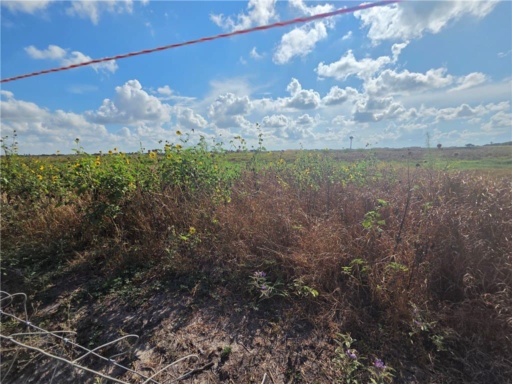 2.69 acres in San Patricio County - photo 10
