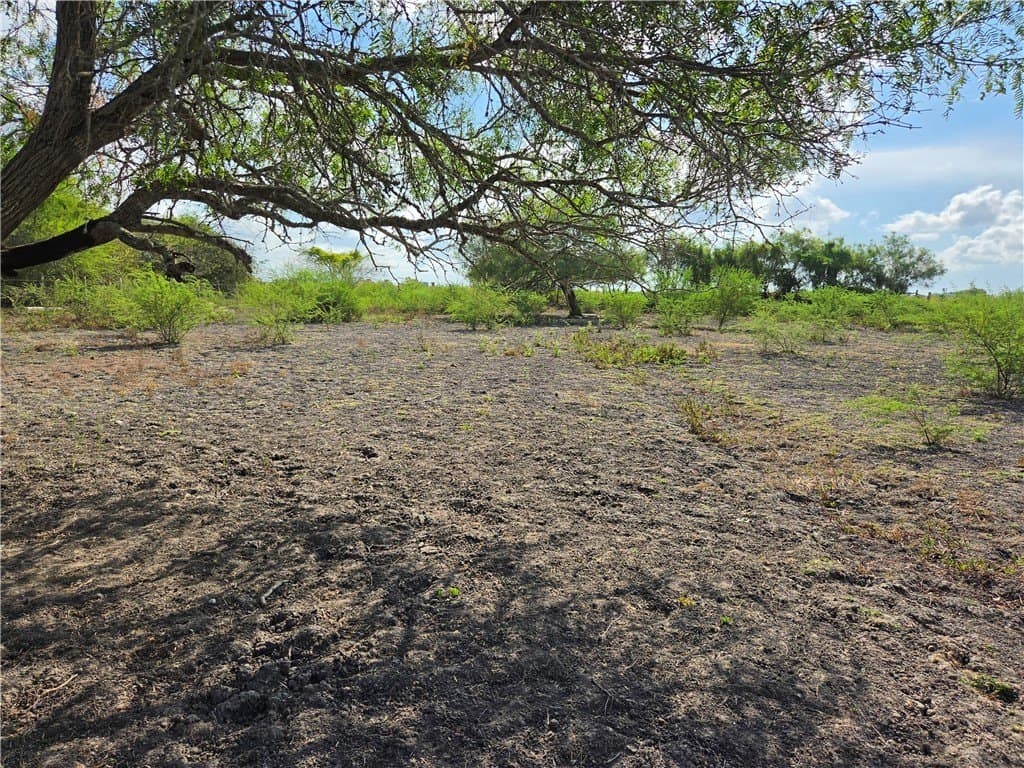2.69 acres in San Patricio County - photo 16