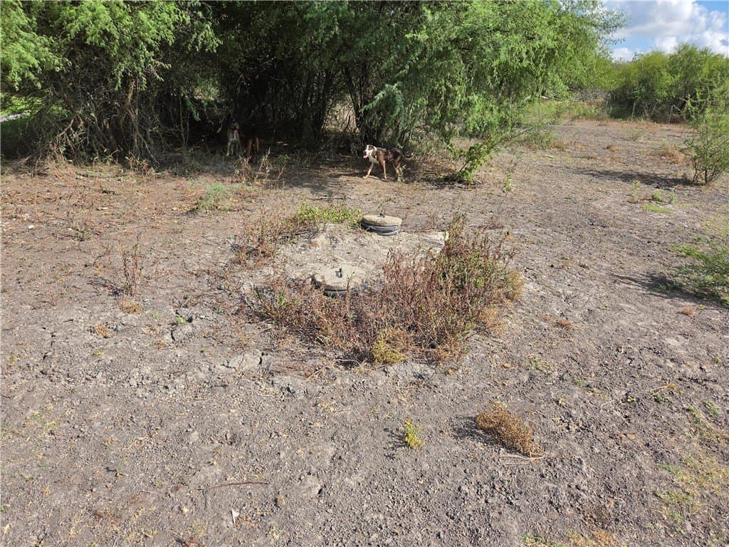 2.69 acres in San Patricio County - photo 9
