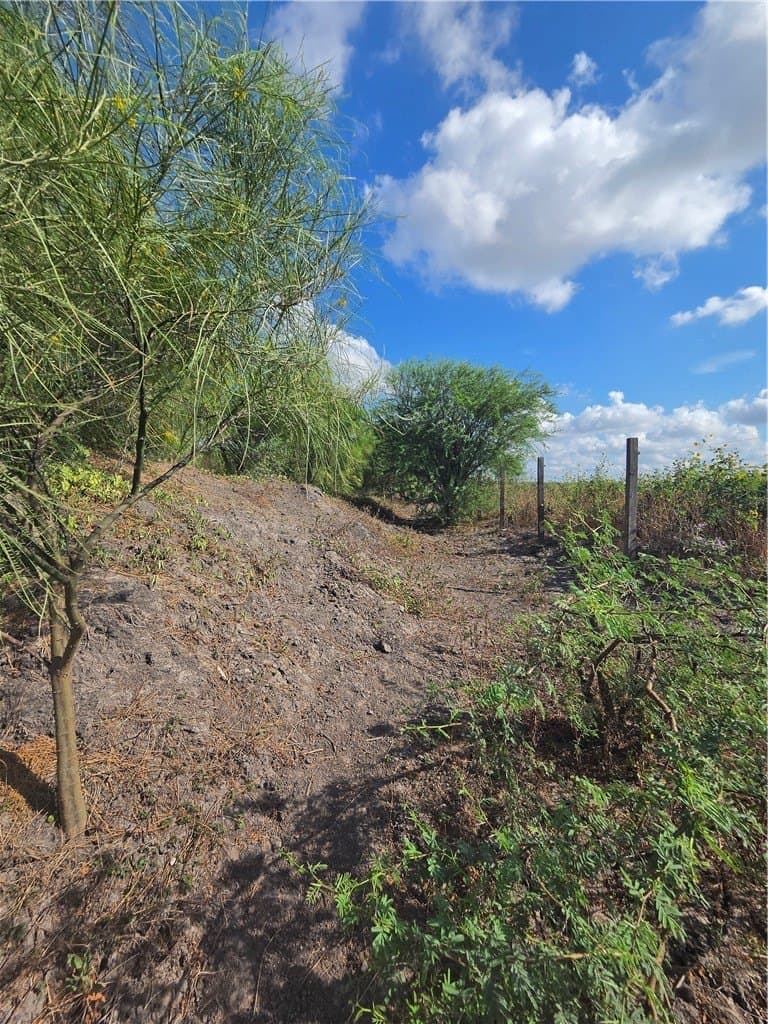 2.69 acres in San Patricio County - photo 11