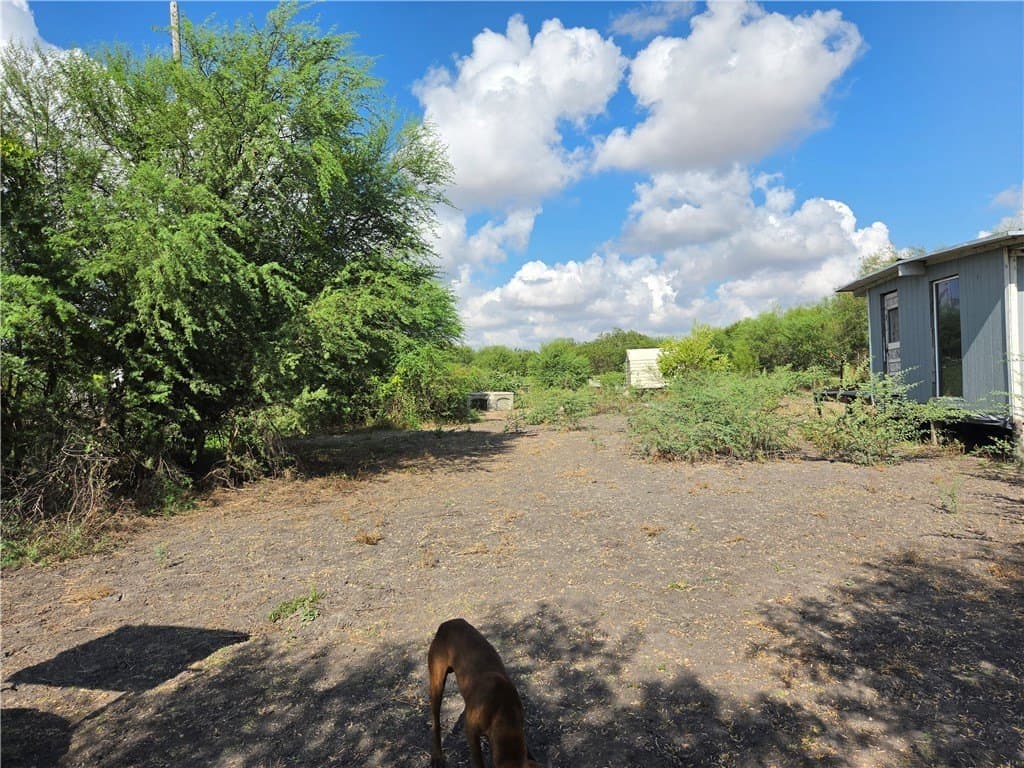 2.69 acres in San Patricio County - photo 17