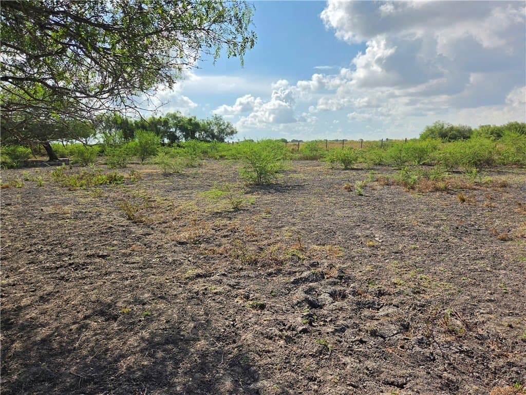 2.69 acres in San Patricio County - photo 15