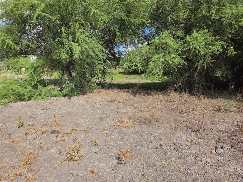 2.69 acres in San Patricio County - photo 8