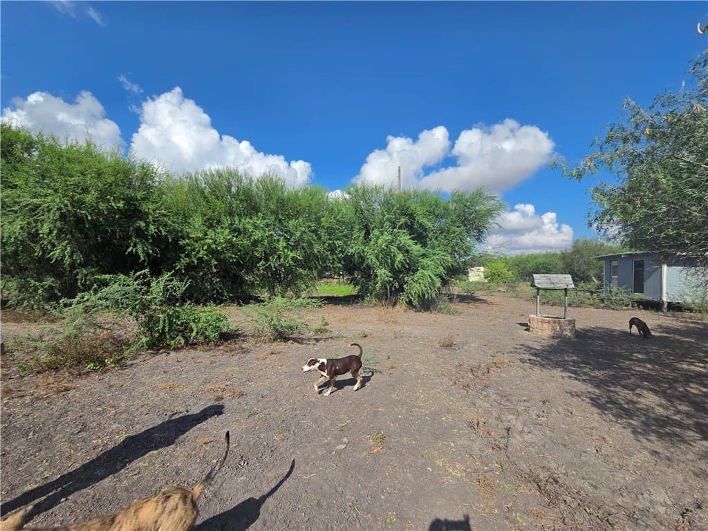 2.69 acres in San Patricio County - photo 13