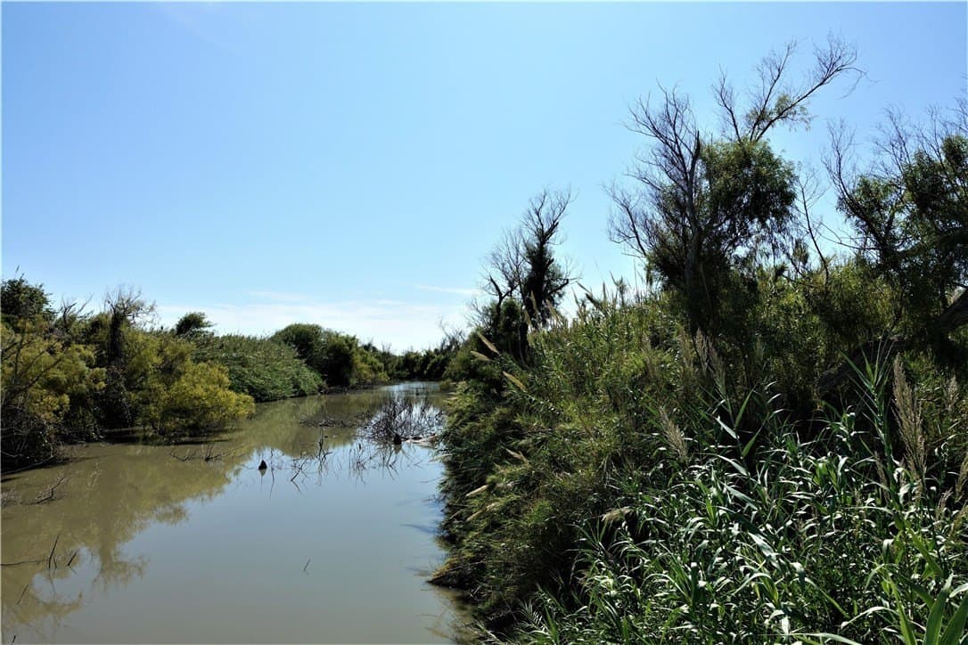 80 acres in San Patricio County featured view