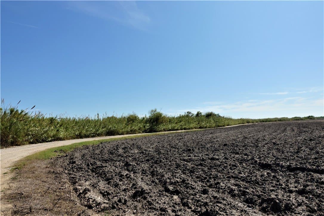 80 acres in San Patricio County - photo 10