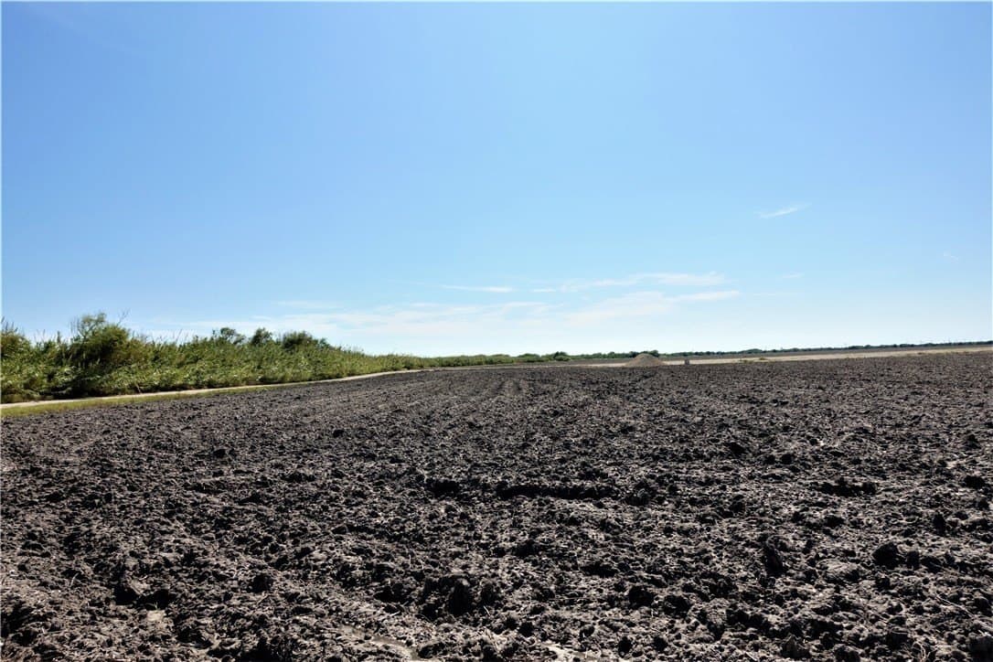 80 acres in San Patricio County - photo 11