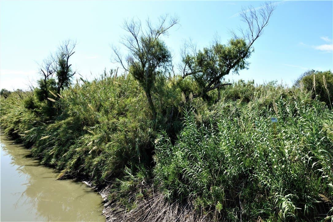 80 acres in San Patricio County - photo 16