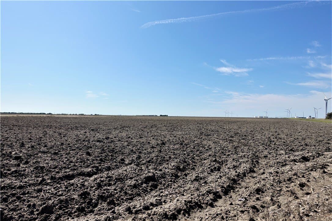 80 acres in San Patricio County - photo 13
