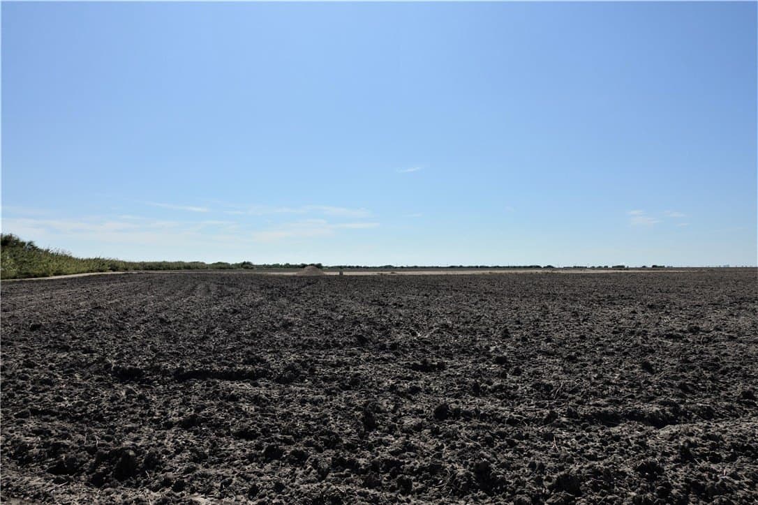80 acres in San Patricio County - photo 14