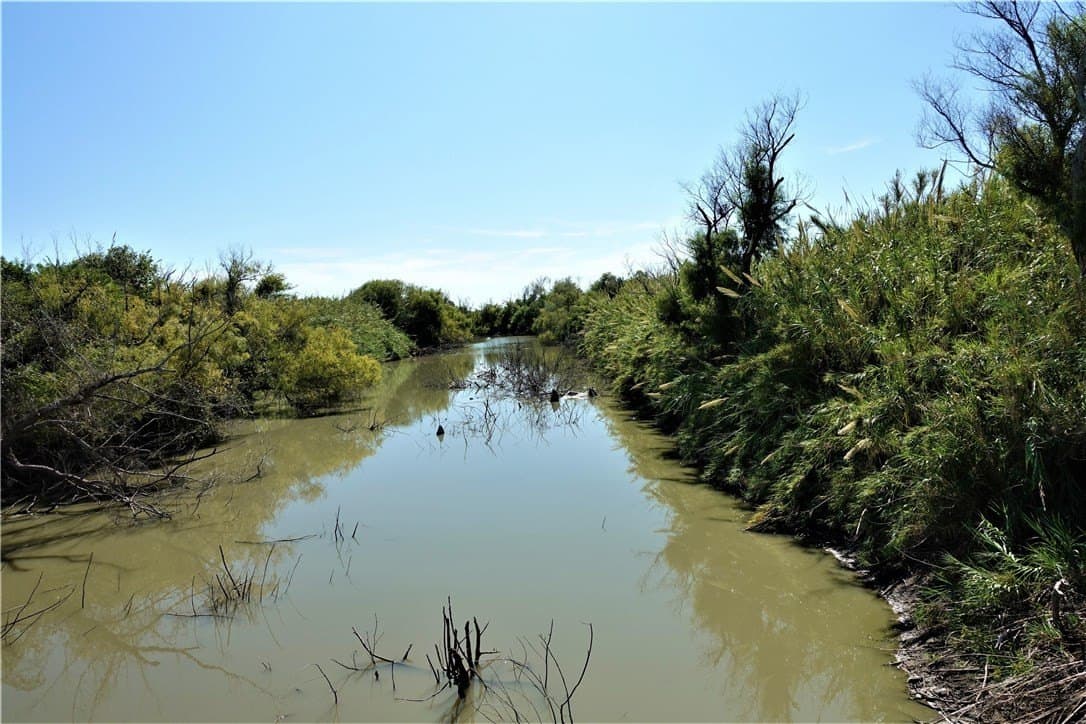 80 acres in San Patricio County - photo 6