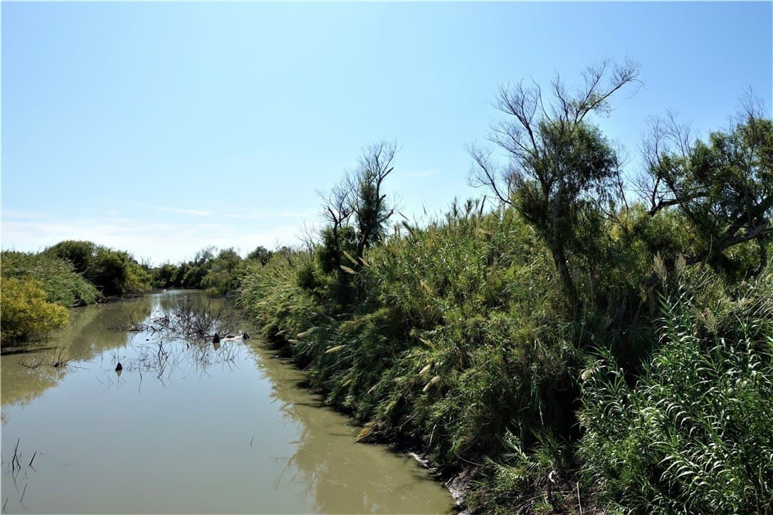 80 acres in San Patricio County - photo 9