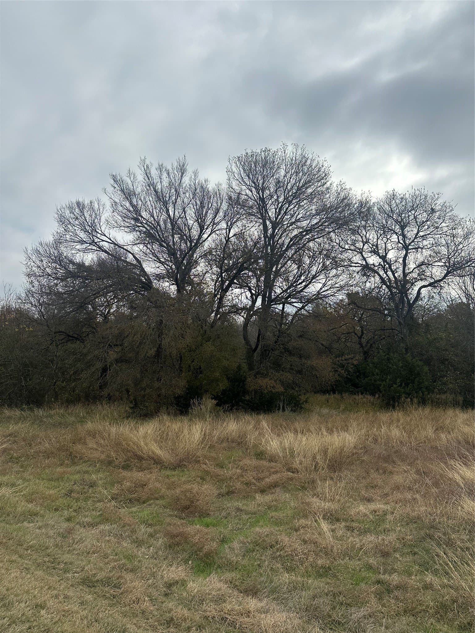 0.31 acres in Hill County