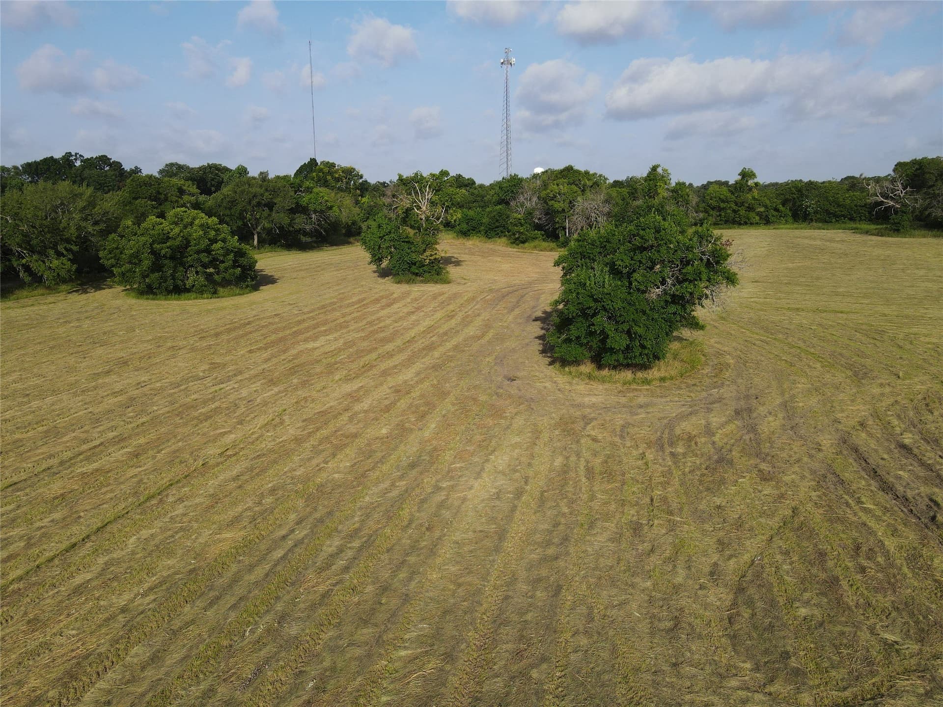 17.31 acres in Fannin County - photo 7