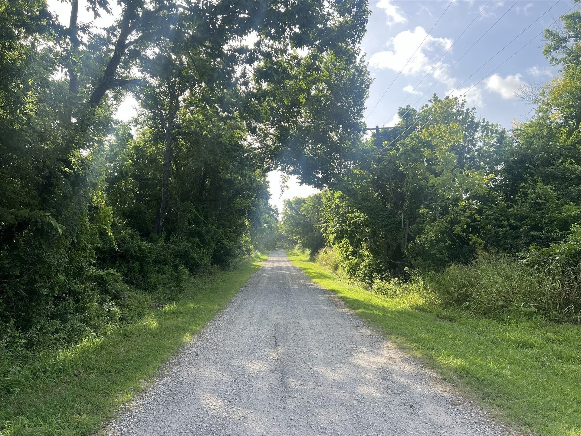17.31 acres in Fannin County - photo 19