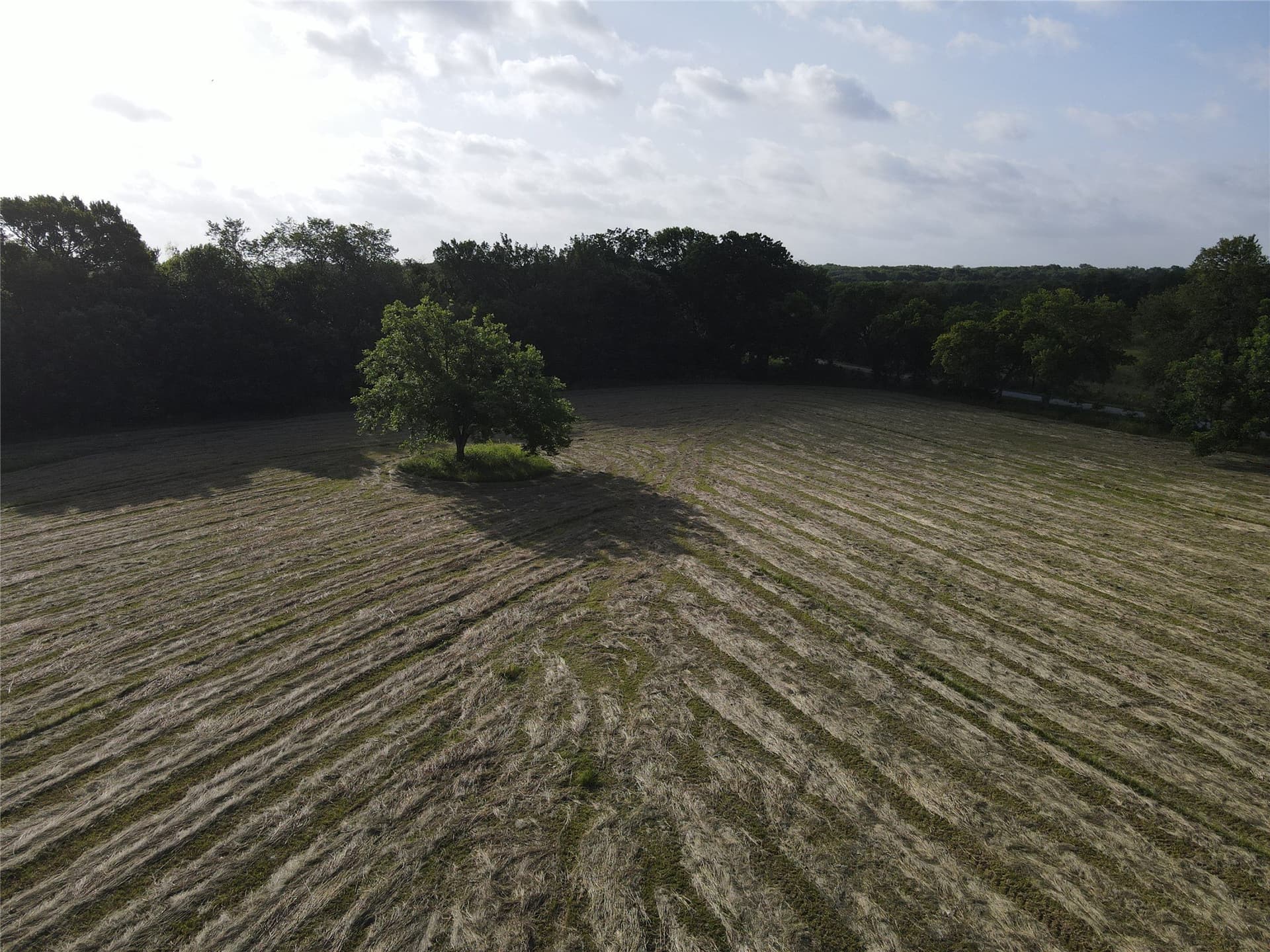 17.31 acres in Fannin County - photo 5