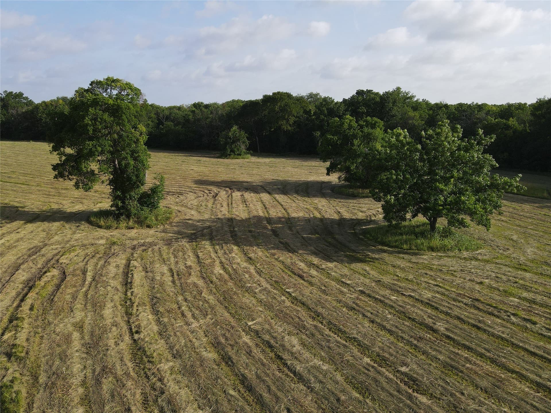 17.31 acres in Fannin County - photo 4