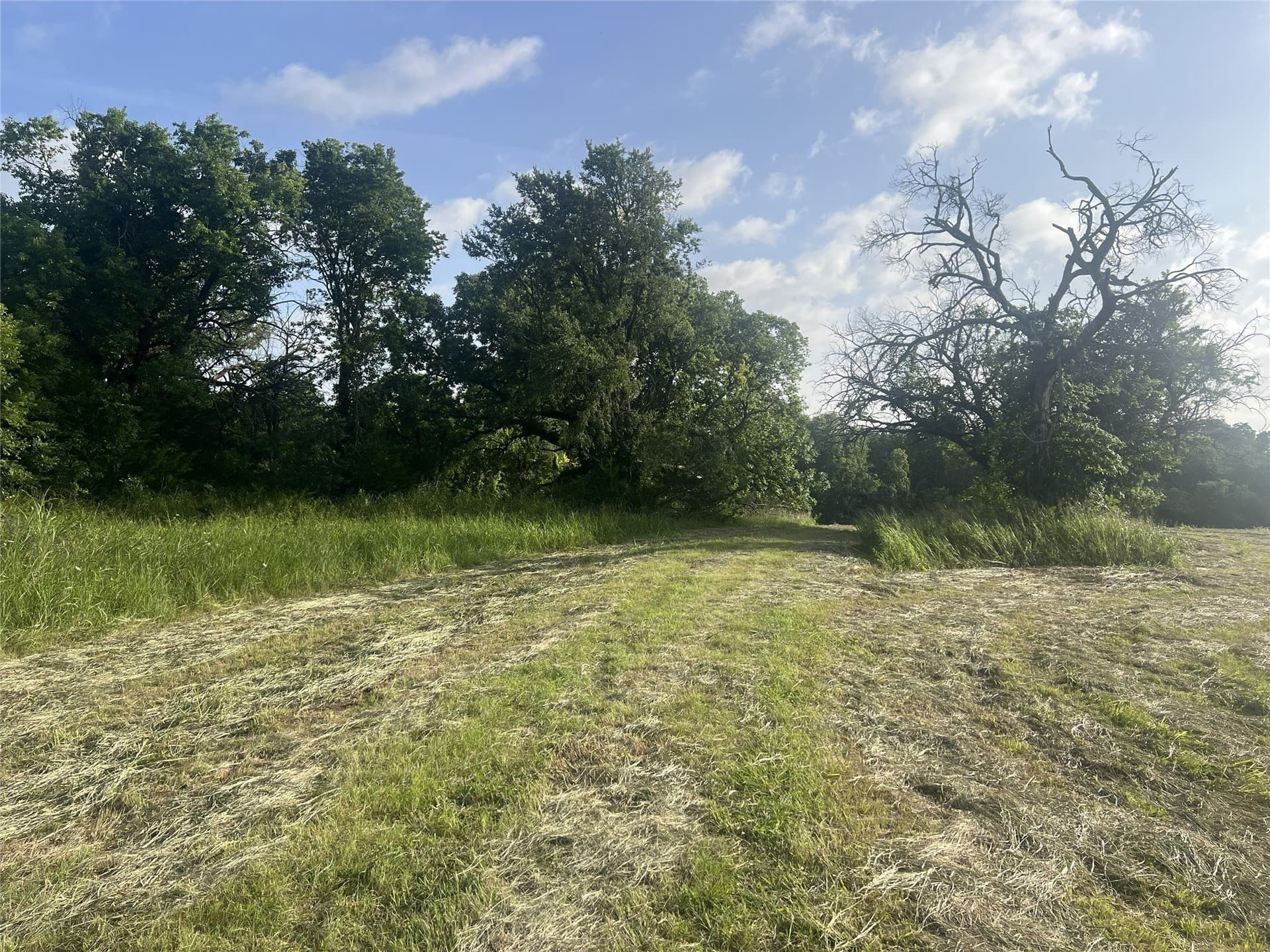 17.31 acres in Fannin County - photo 11