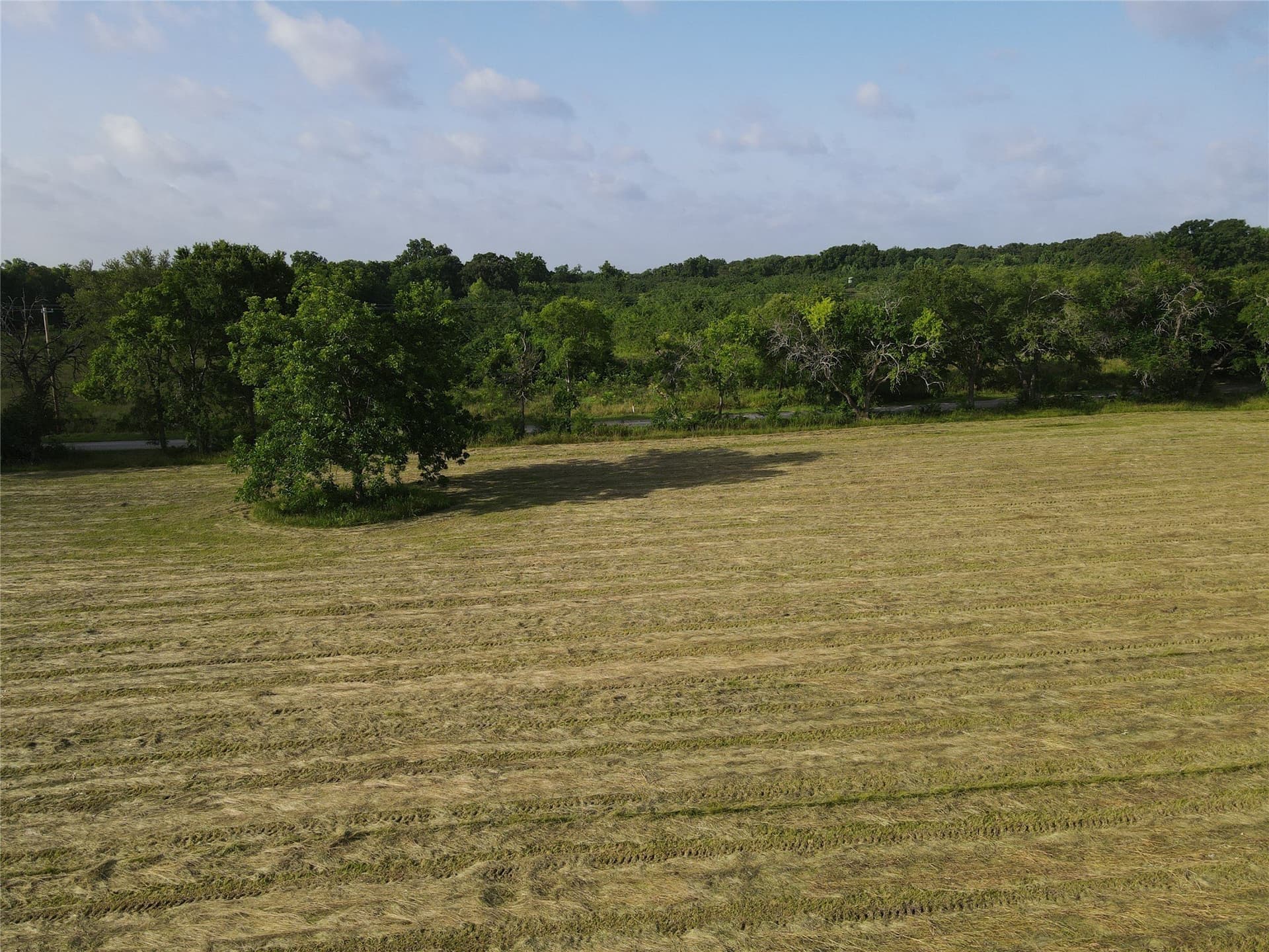 17.31 acres in Fannin County - photo 6
