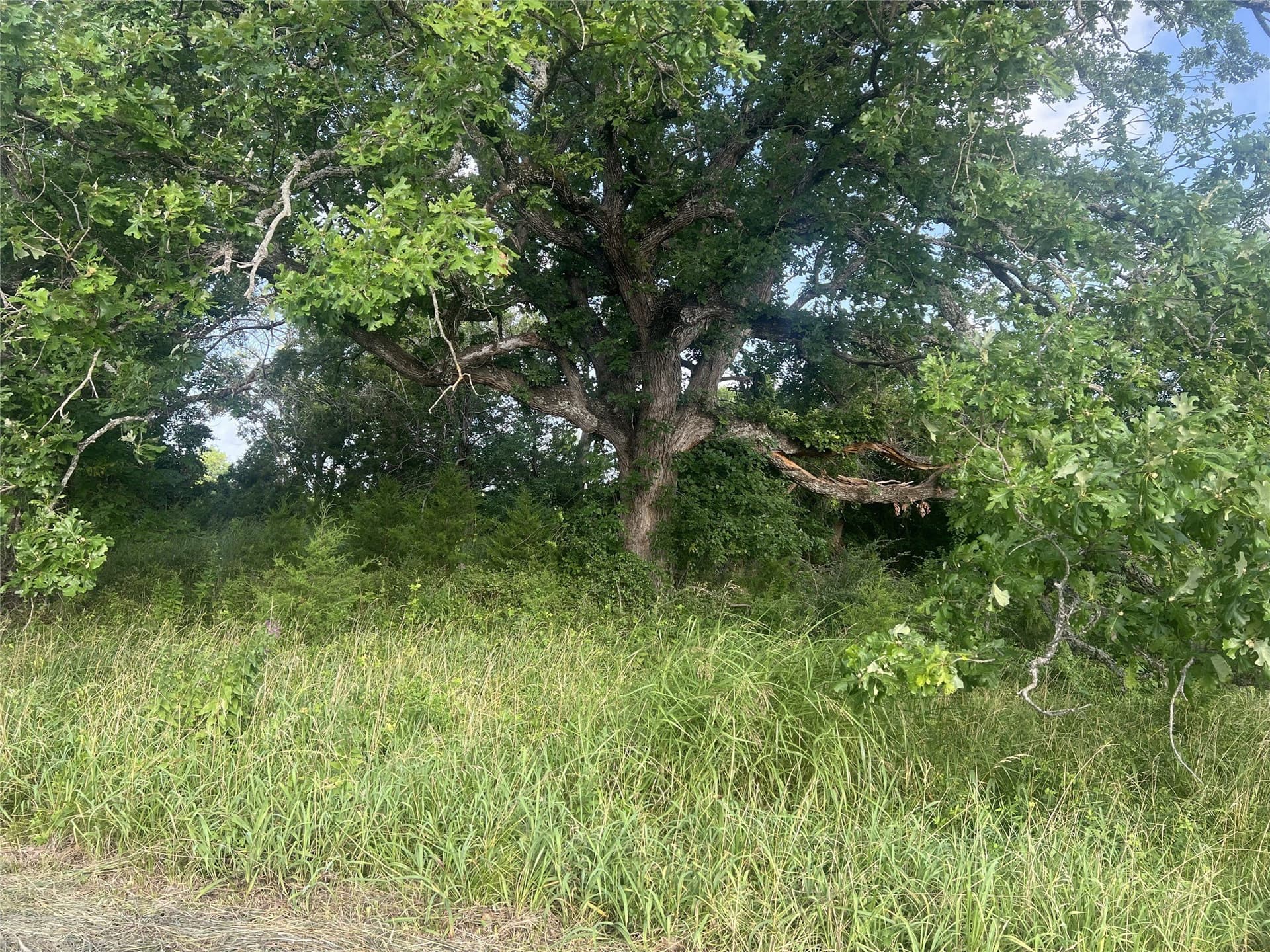 17.31 acres in Fannin County - photo 12