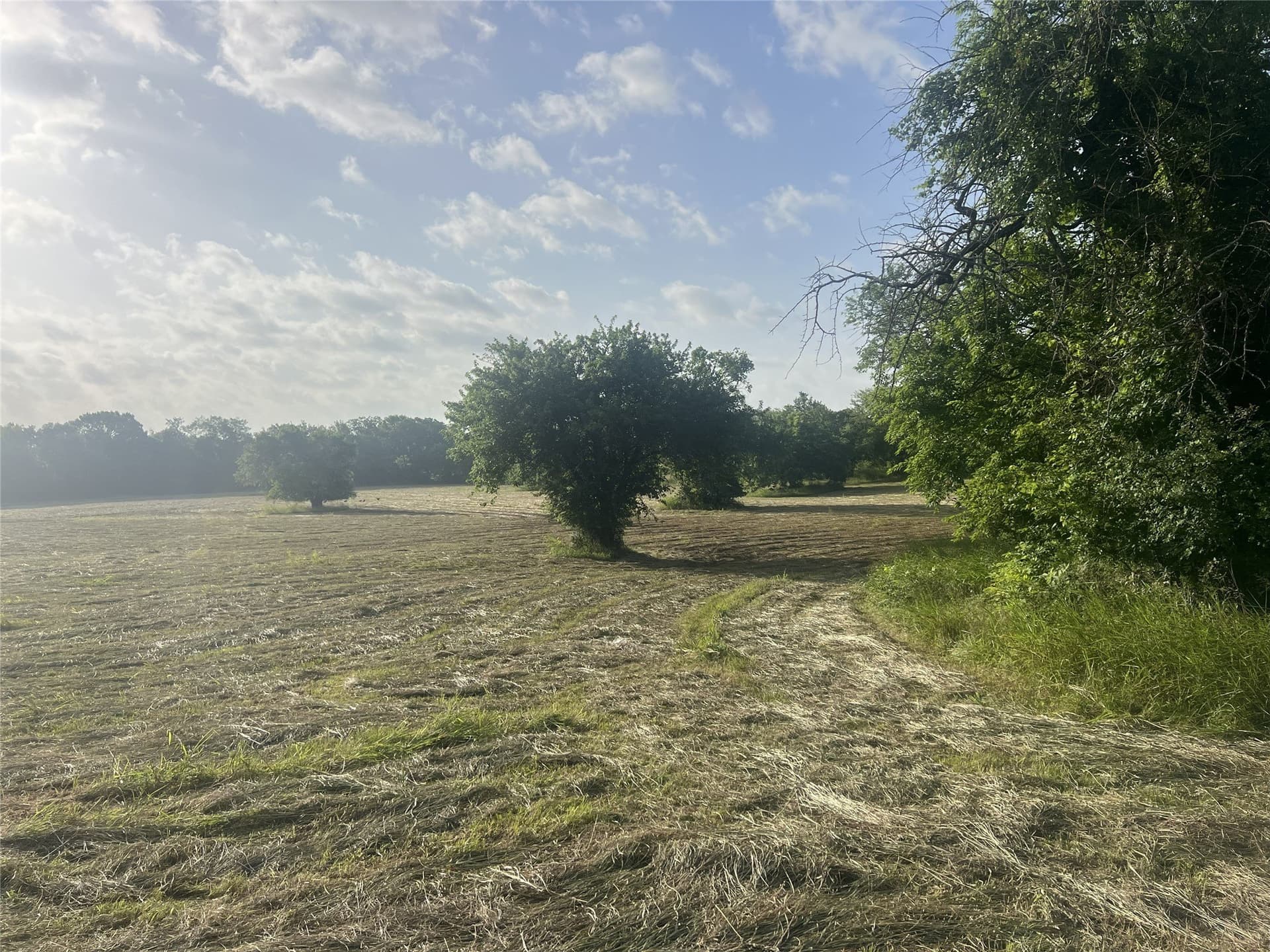 17.31 acres in Fannin County - photo 10