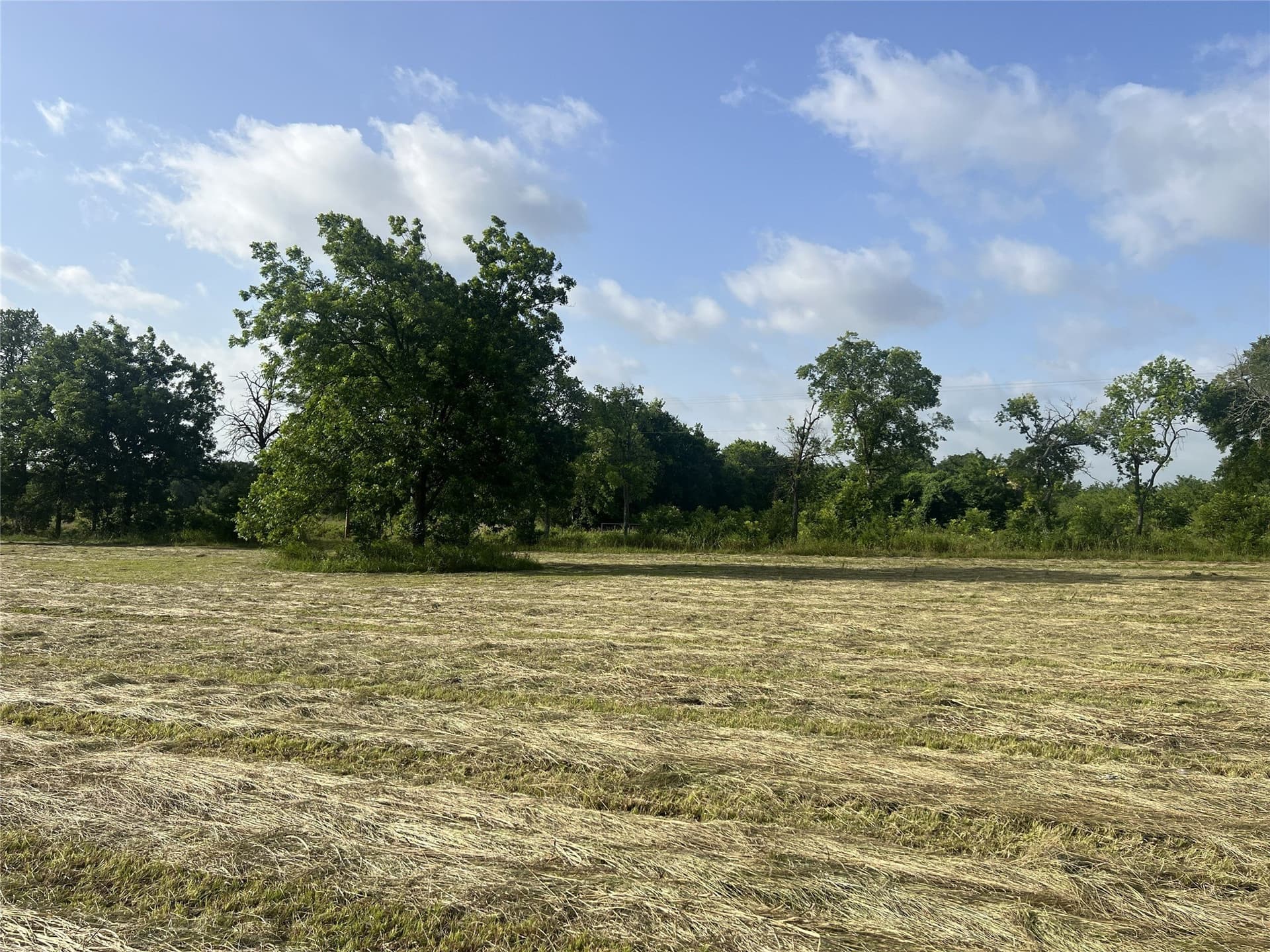 17.31 acres in Fannin County - photo 17
