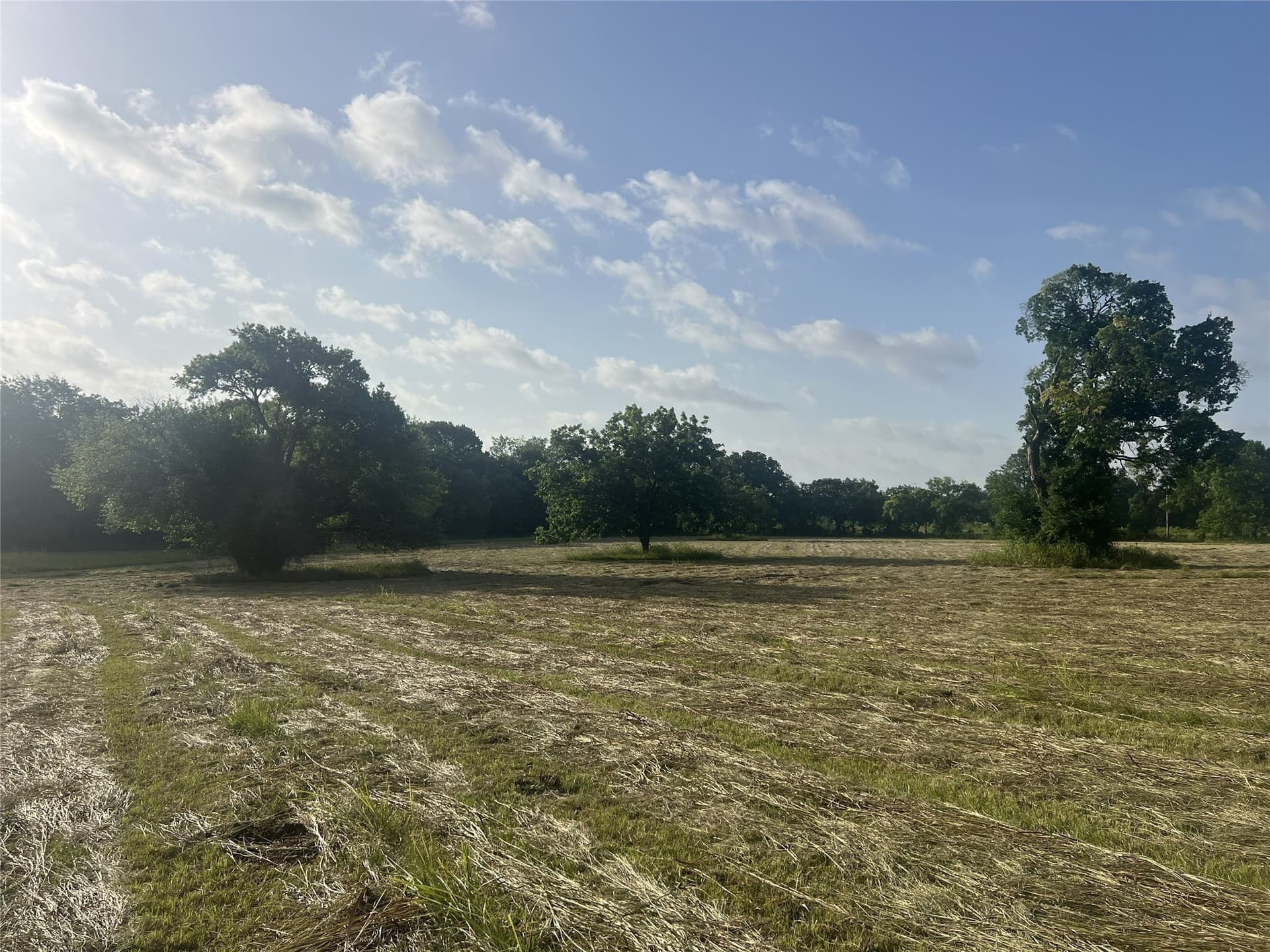 17.31 acres in Fannin County - photo 14