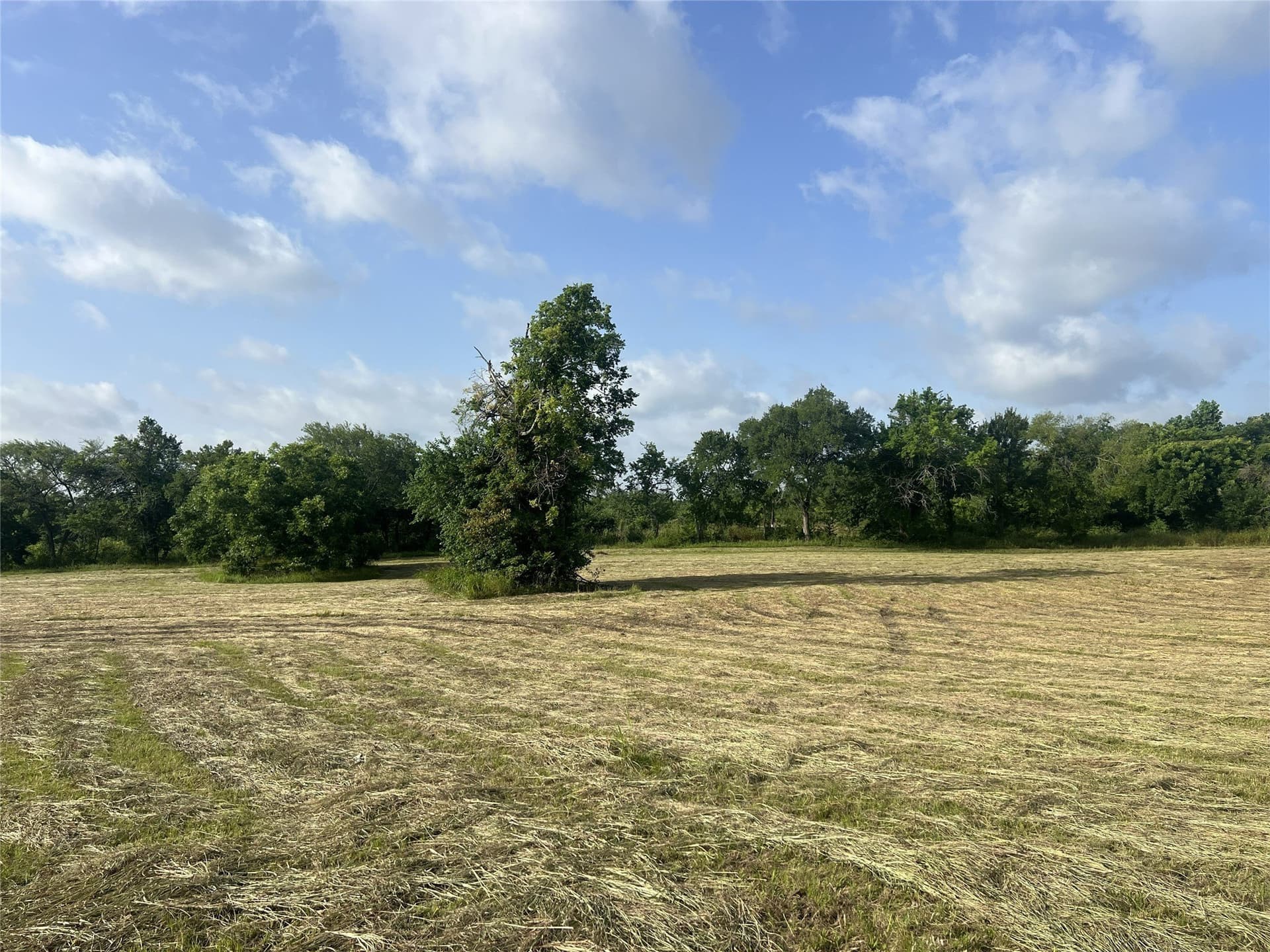 17.31 acres in Fannin County - photo 18