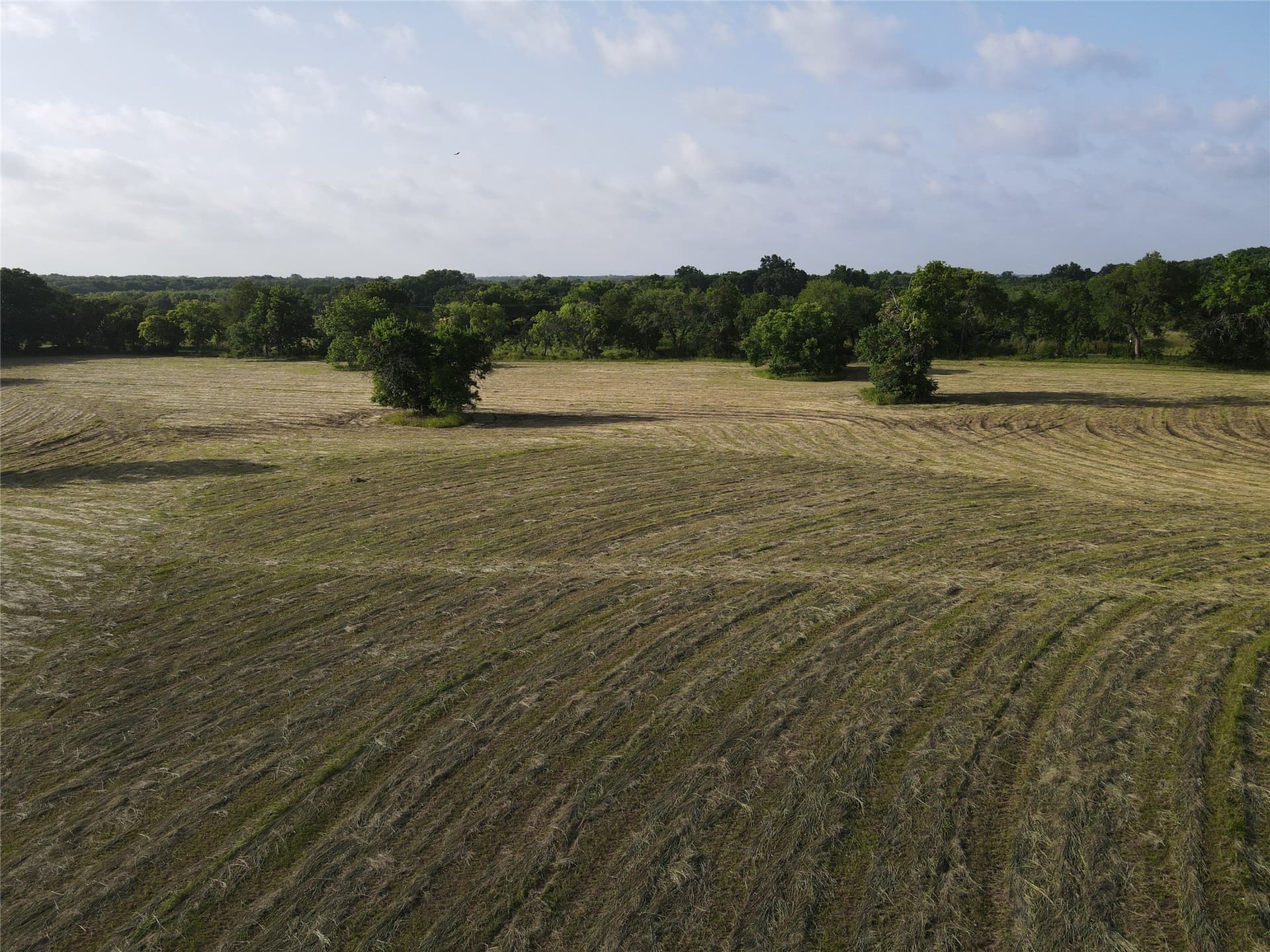17.31 acres in Fannin County - photo 8