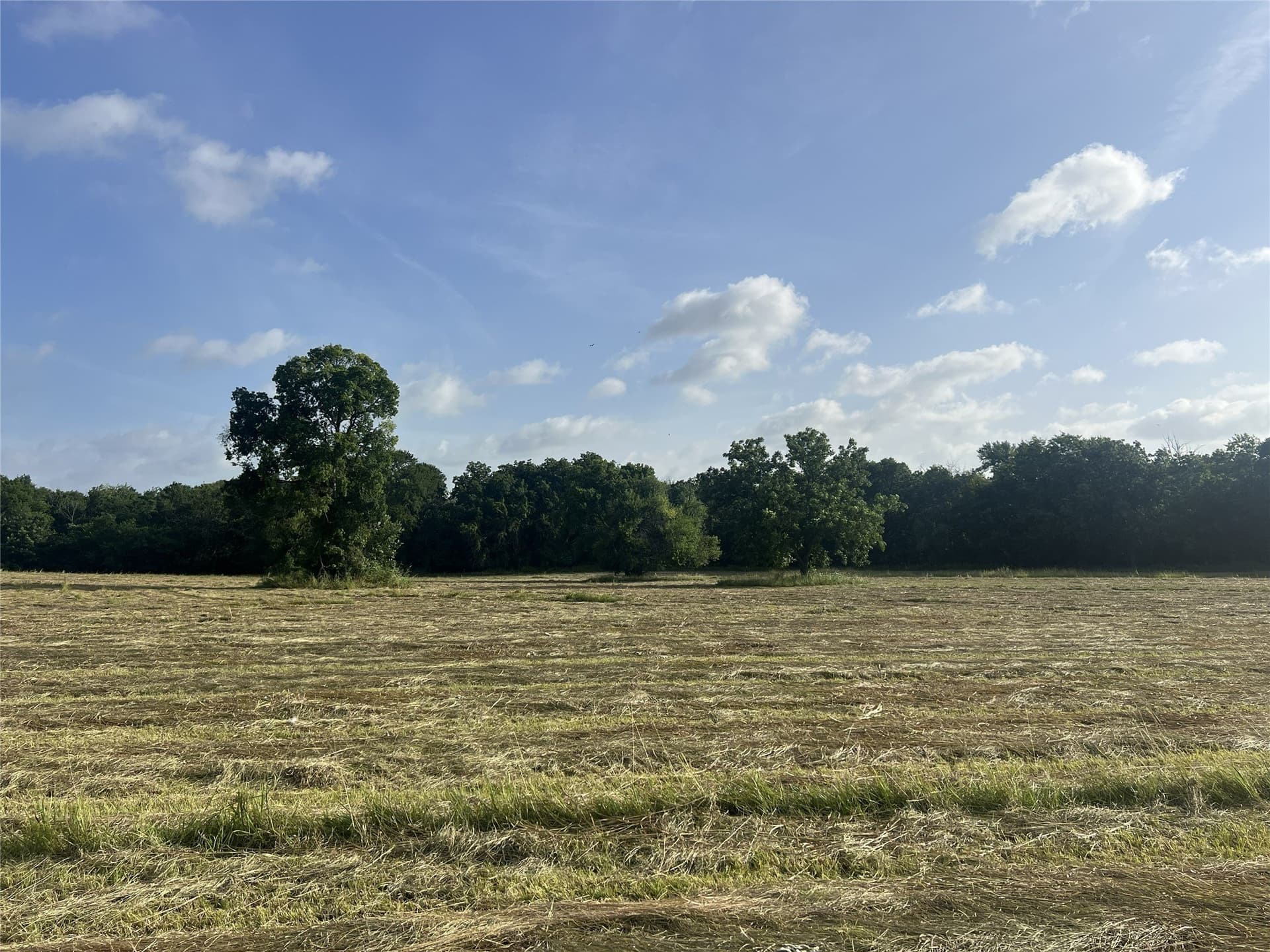 17.31 acres in Fannin County - photo 16
