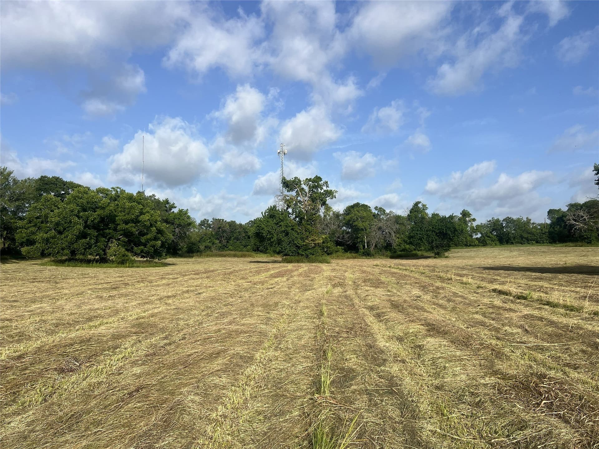 17.31 acres in Fannin County - photo 15