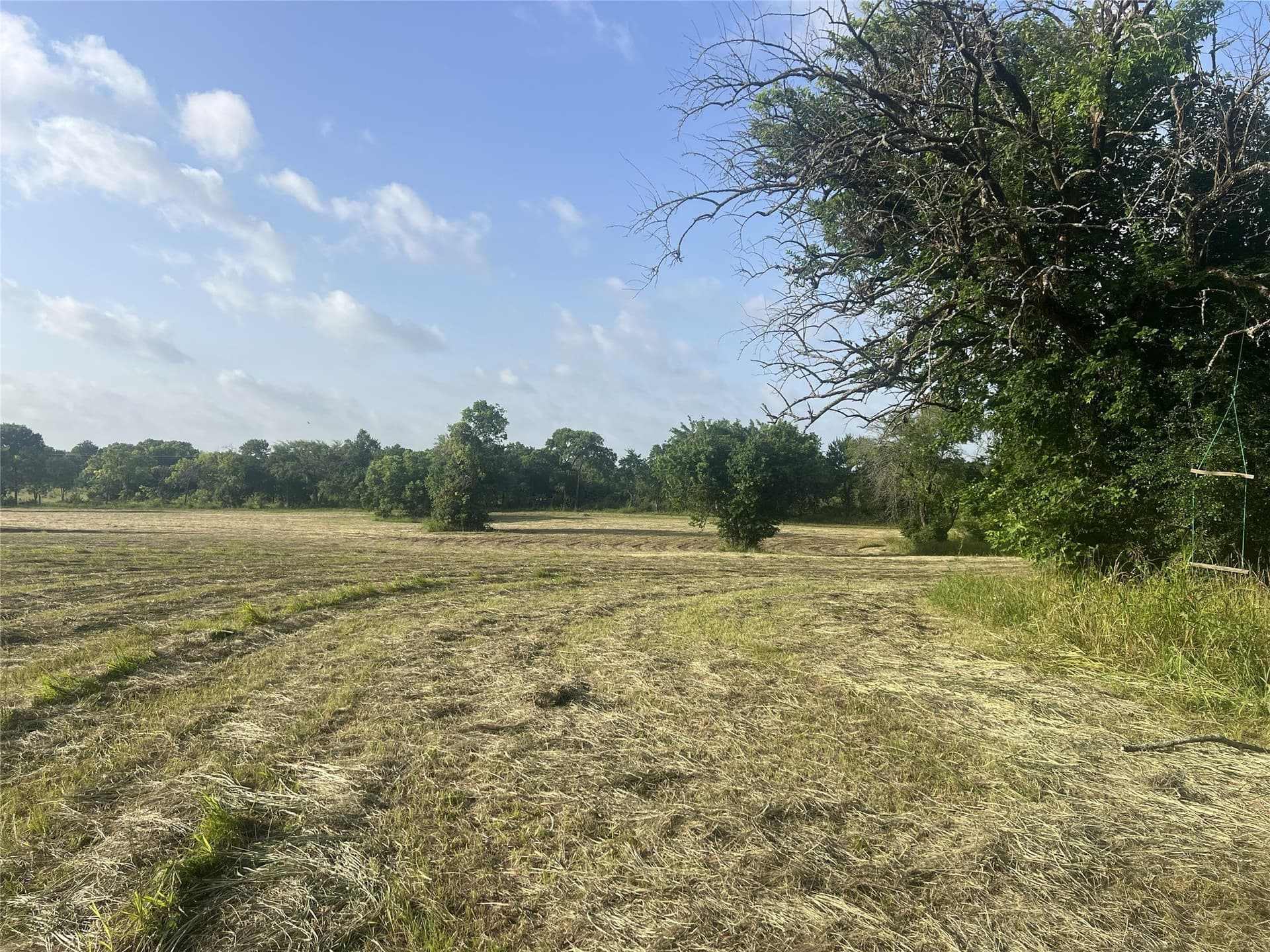 17.31 acres in Fannin County - photo 13