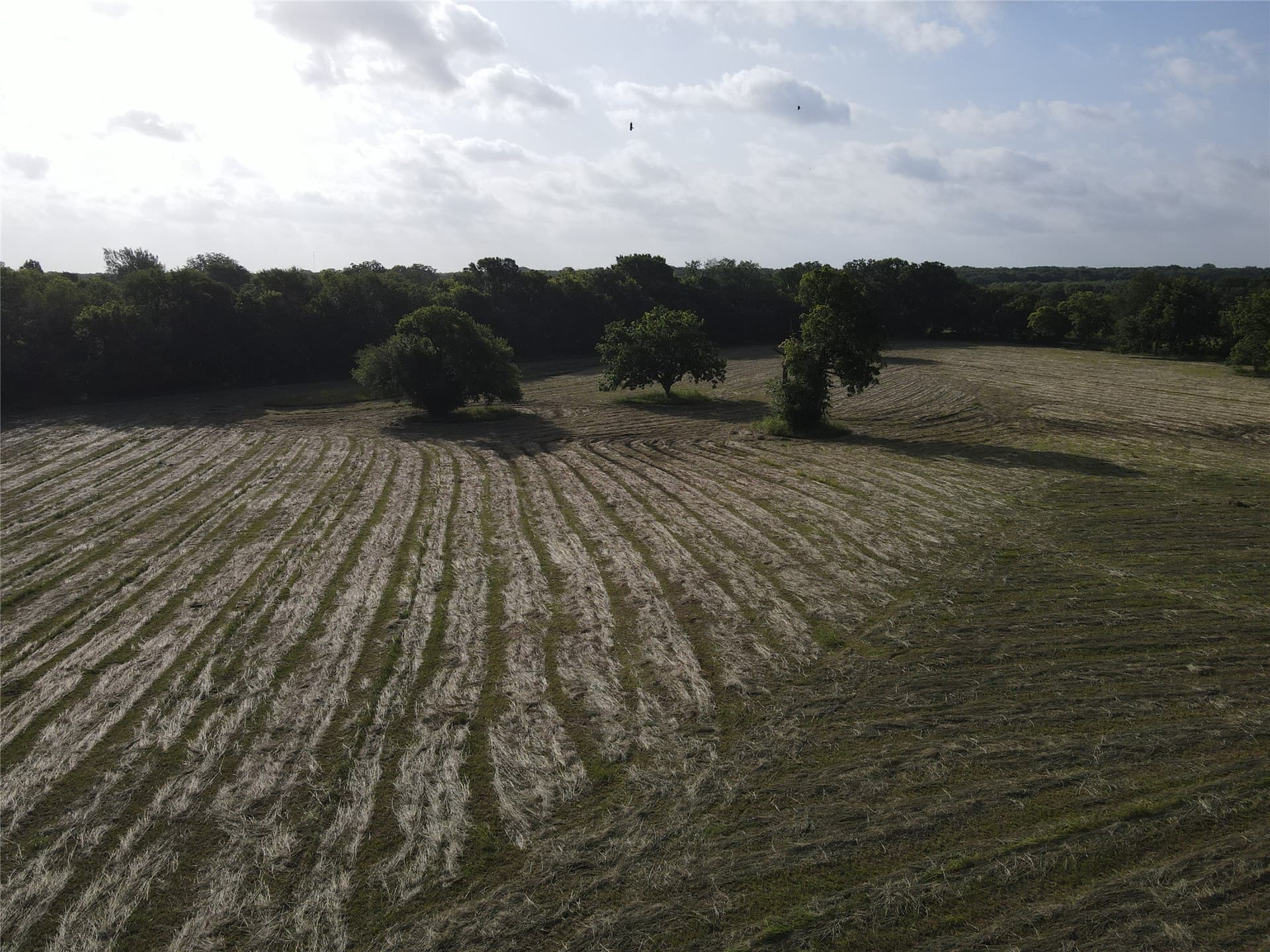 17.31 acres in Fannin County - photo 9