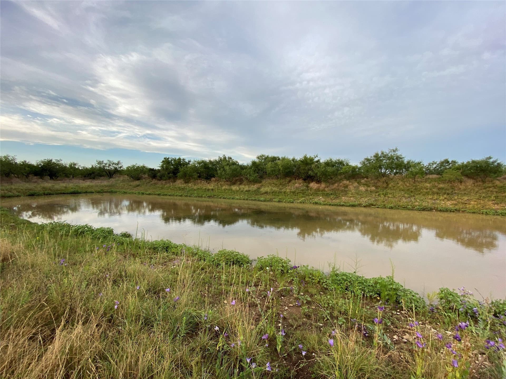 212 acres in Coleman County - photo 6