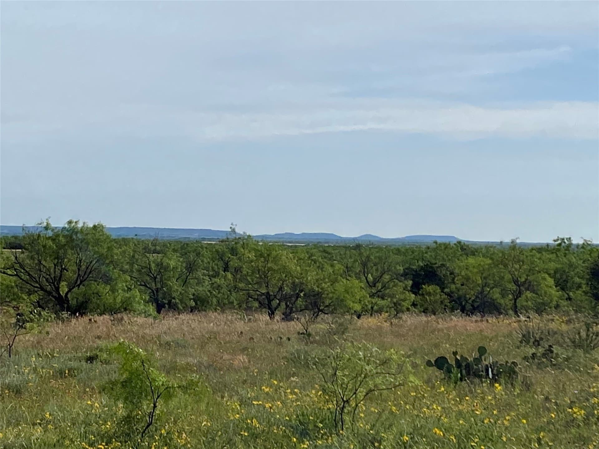 212 acres in Coleman County - photo 24