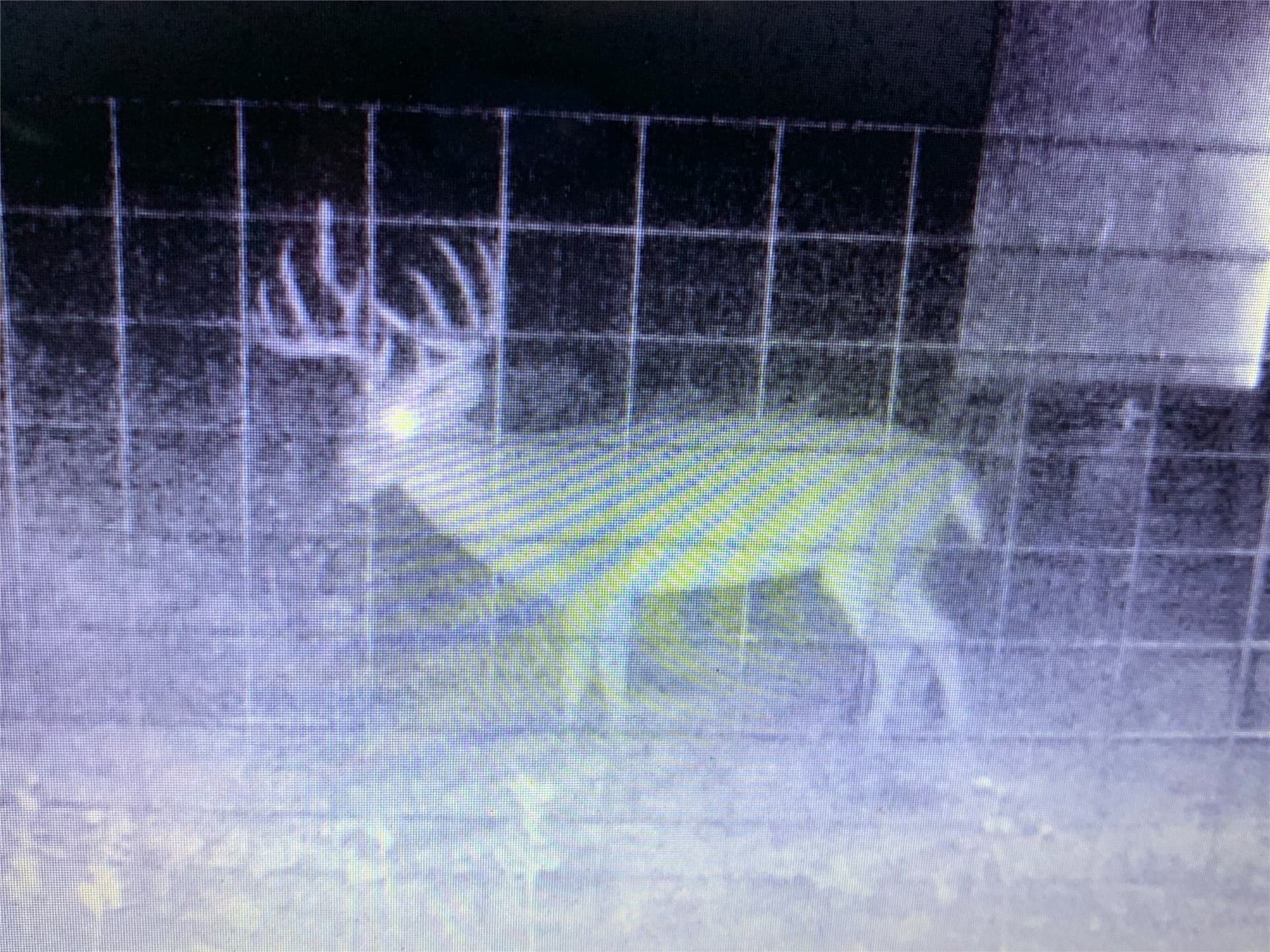 212 acres in Coleman County - photo 8