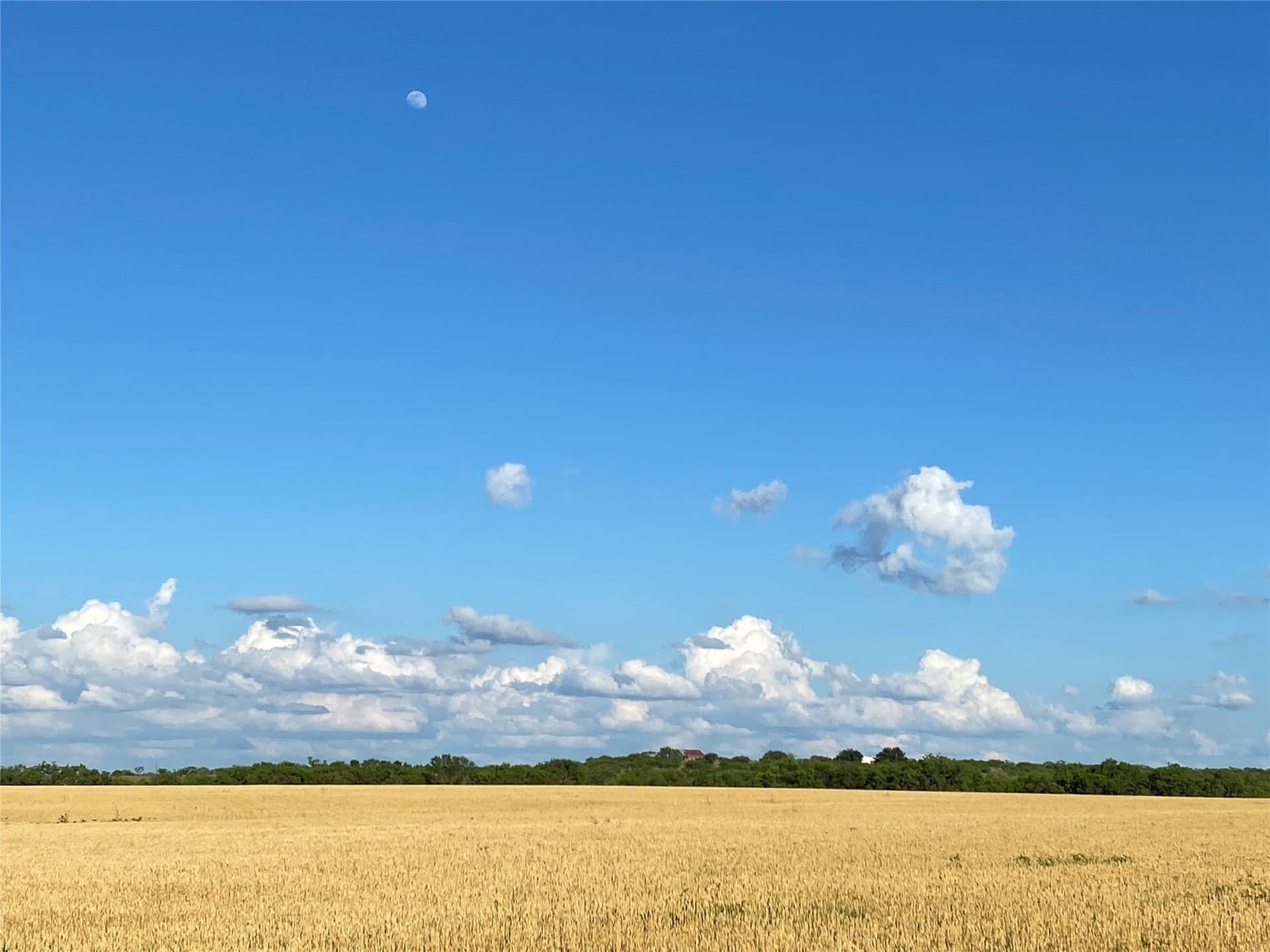 212 acres in Coleman County - photo 22
