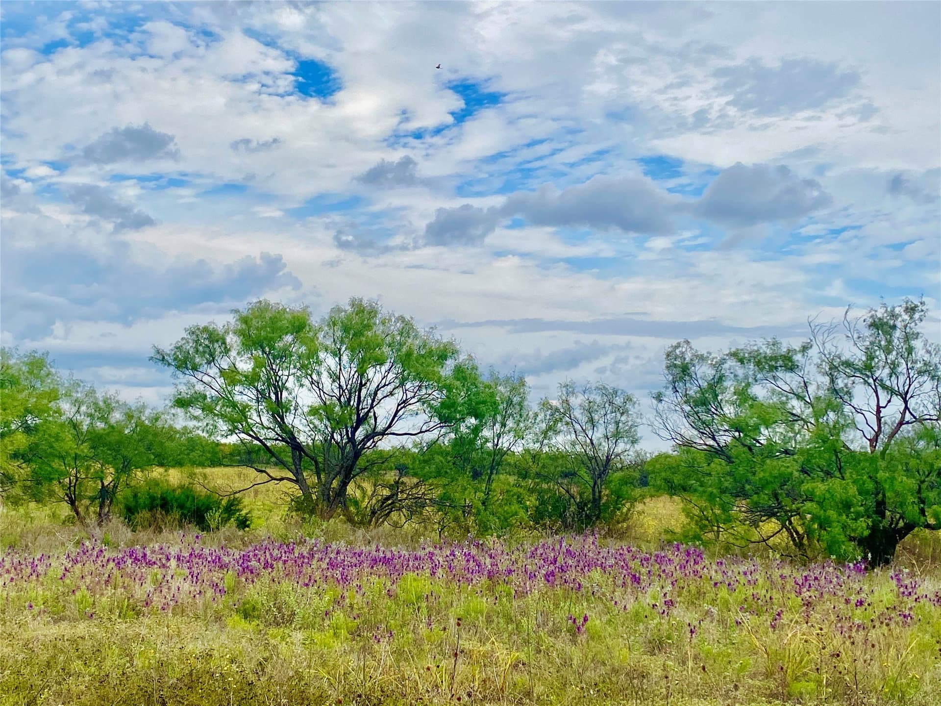 212 acres in Coleman County - photo 30