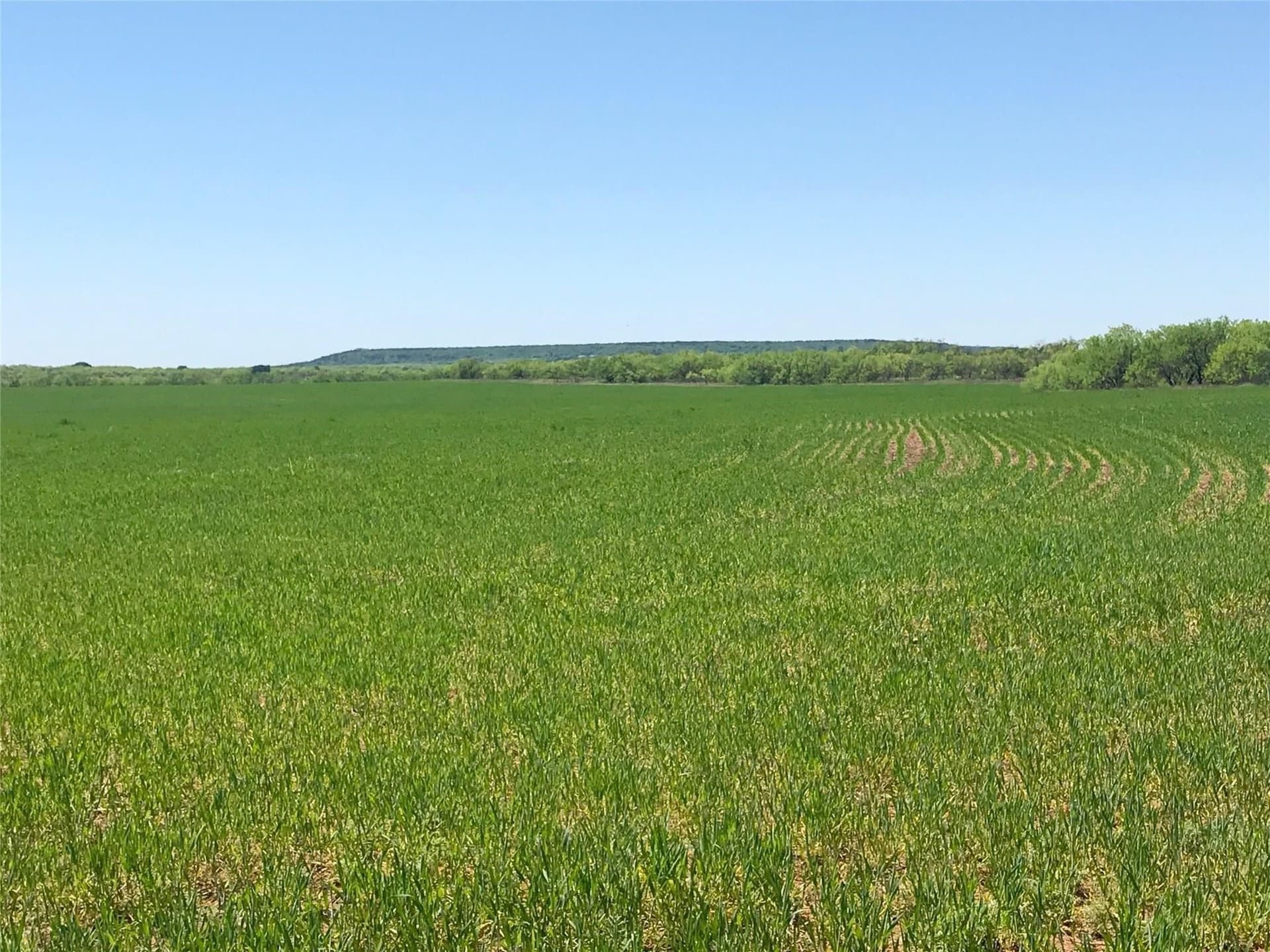 212 acres in Coleman County - photo 23