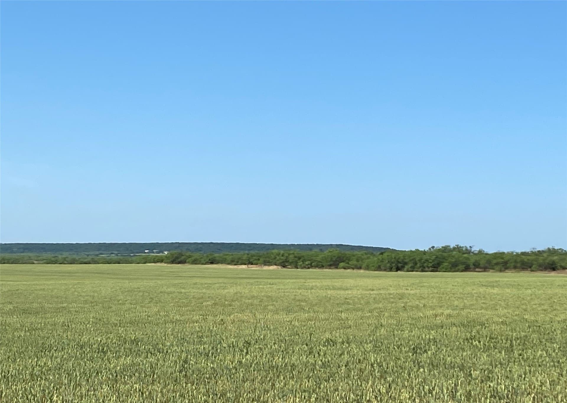 212 acres in Coleman County - photo 25
