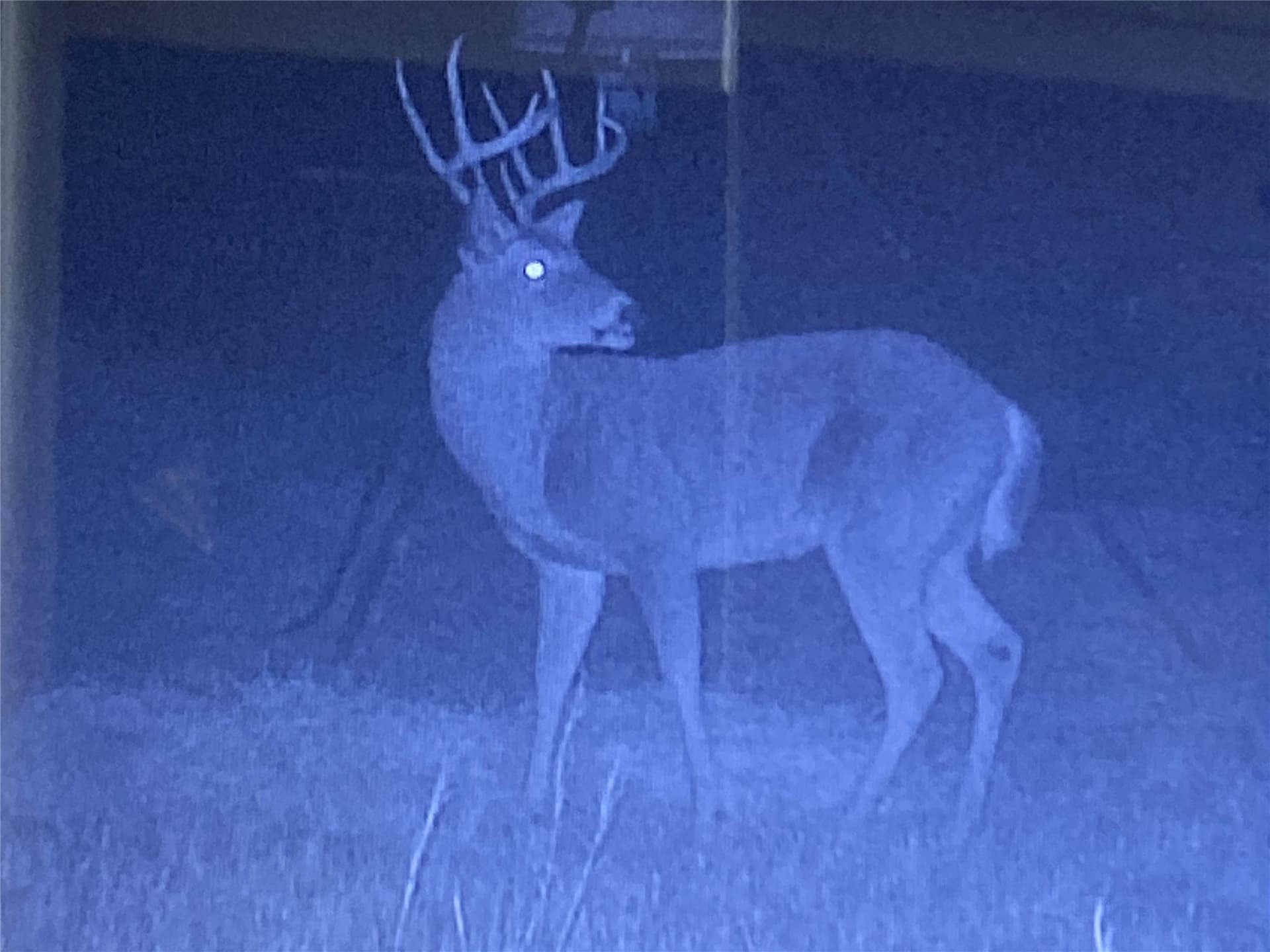 212 acres in Coleman County - photo 9