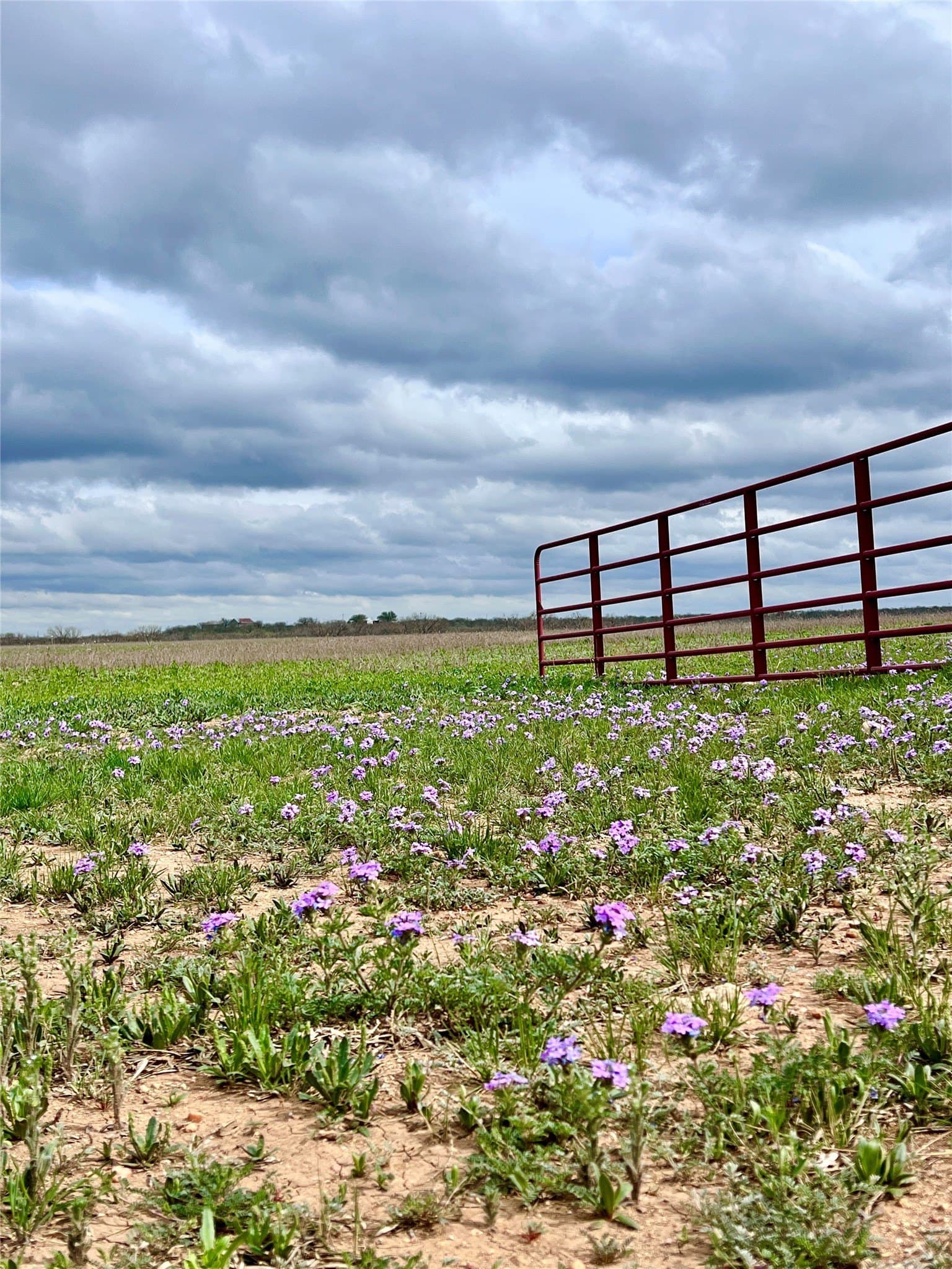 212 acres in Coleman County - photo 32