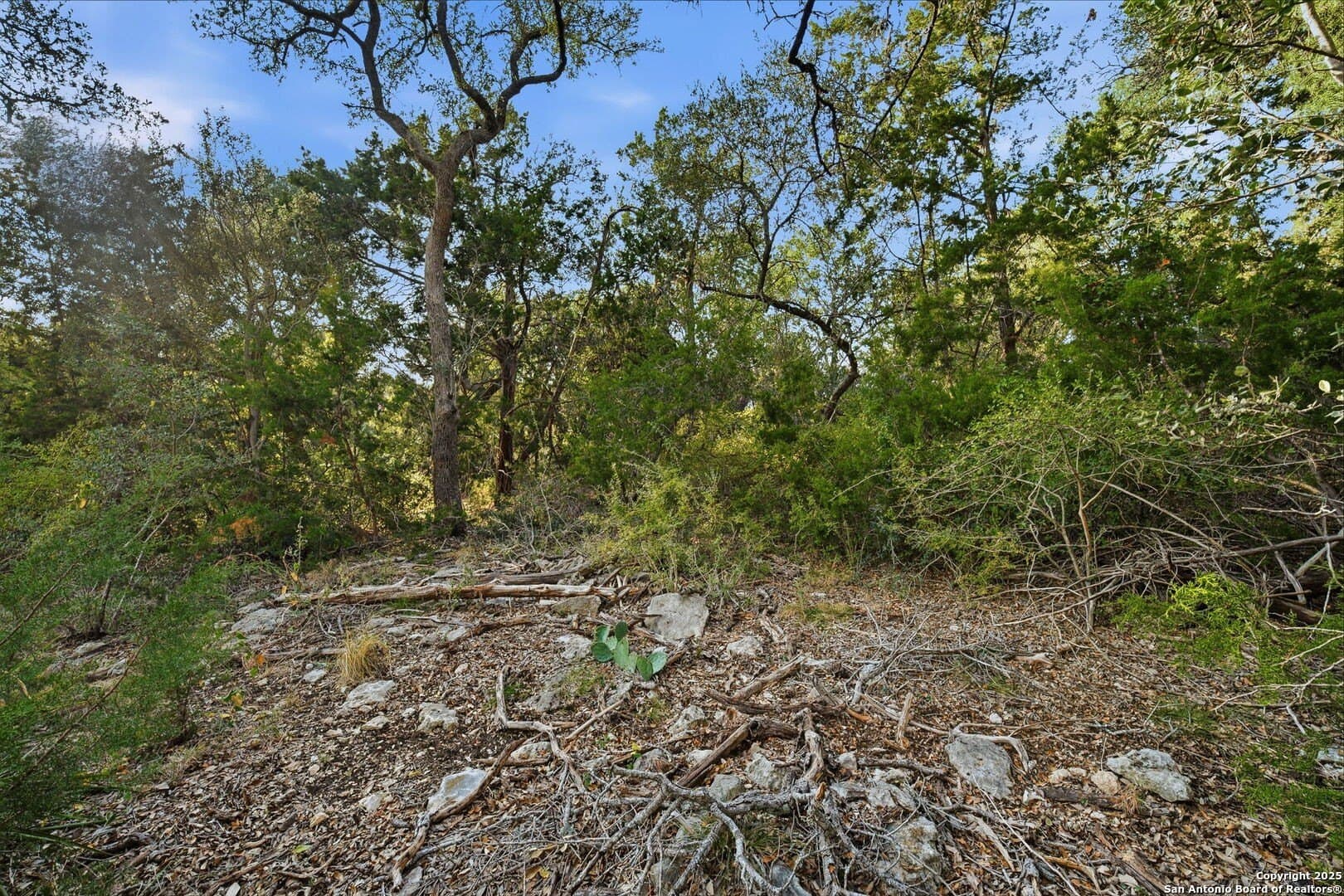 0.64 acres in Comal County gallery image 2