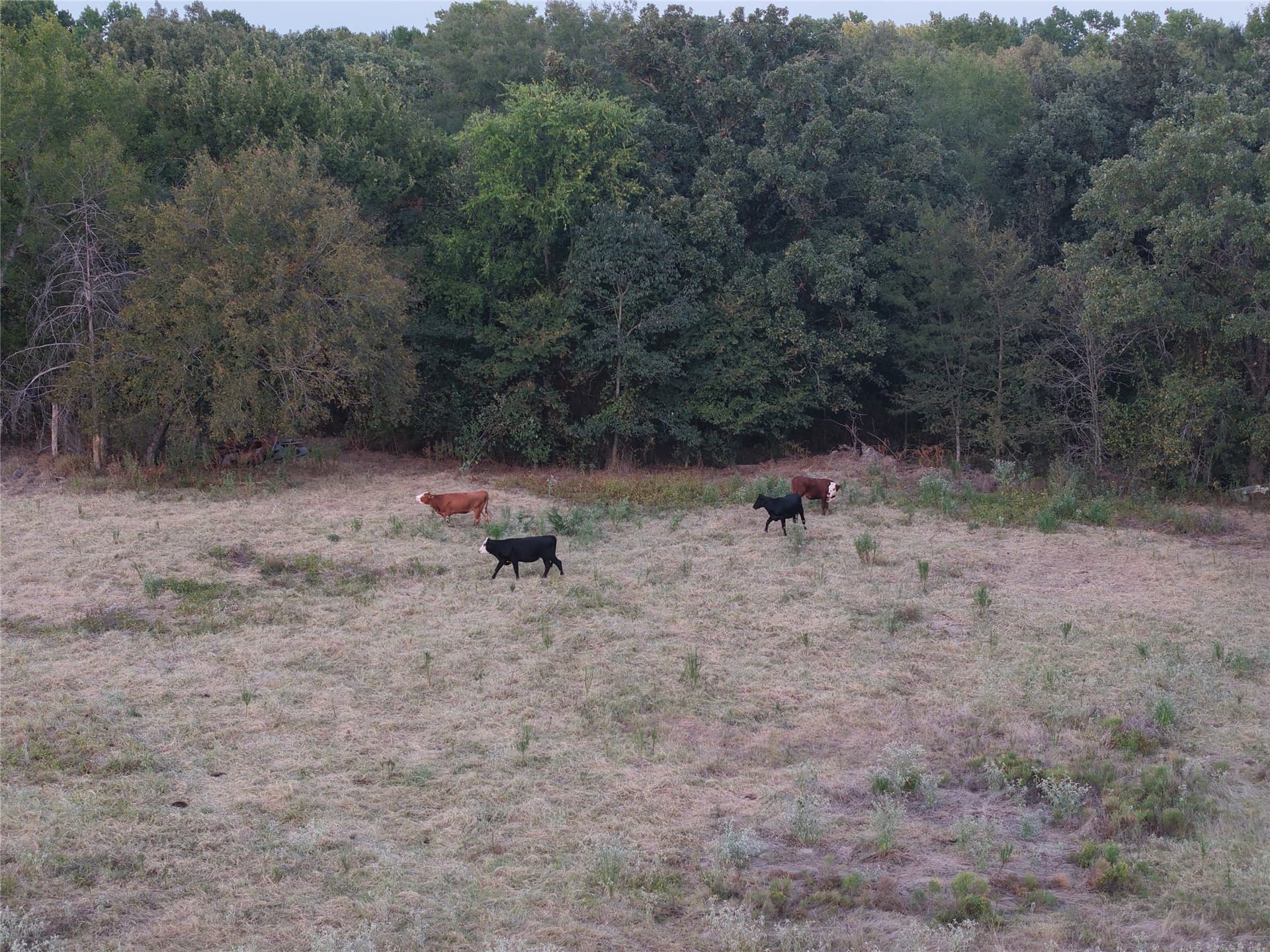 92 acres in Van Zandt County - photo 32