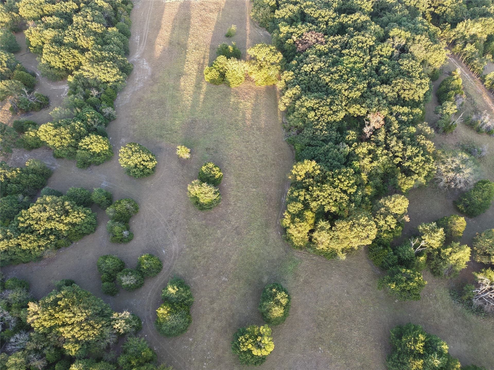 92 acres in Van Zandt County - photo 13