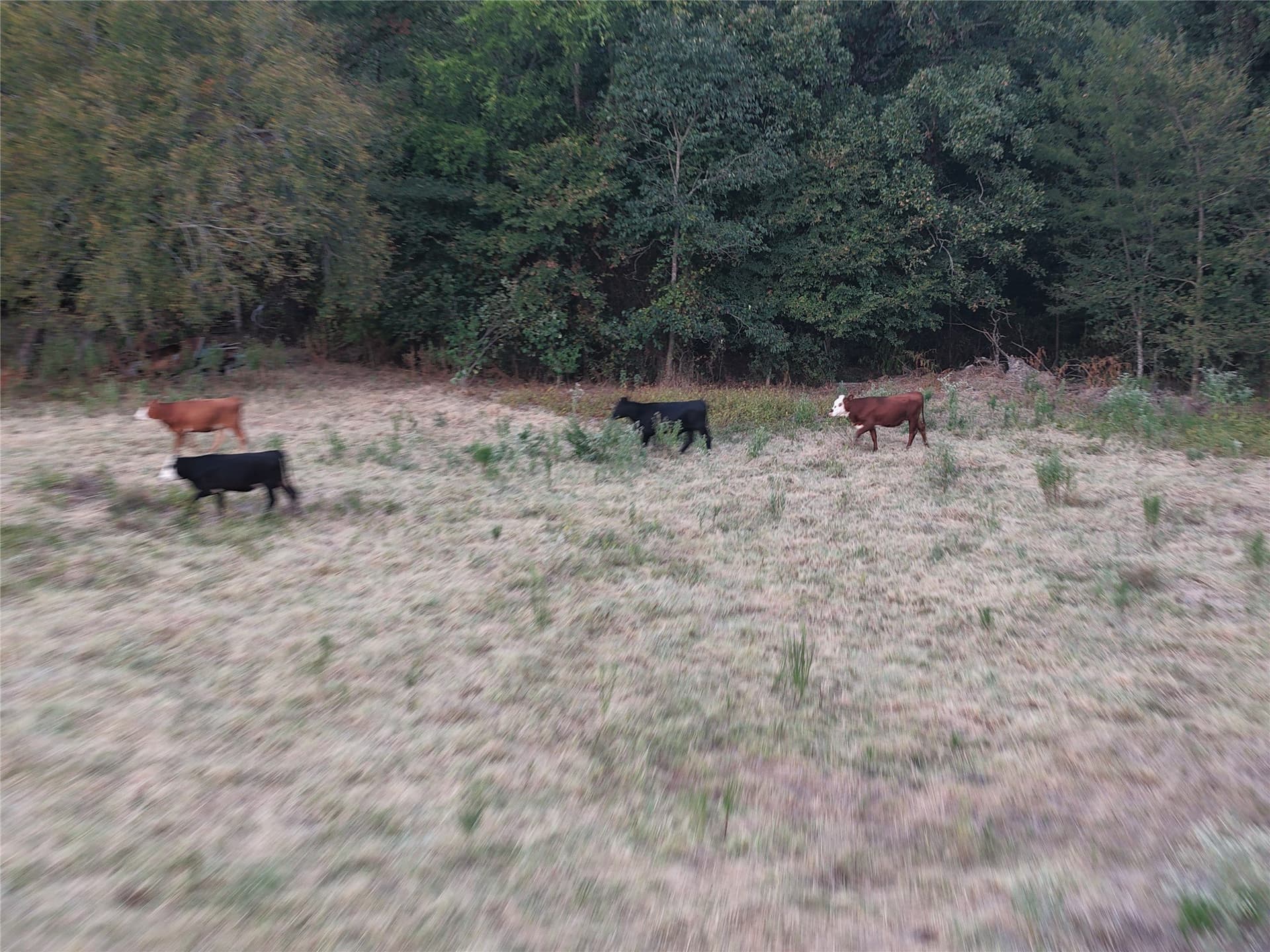 92 acres in Van Zandt County - photo 31